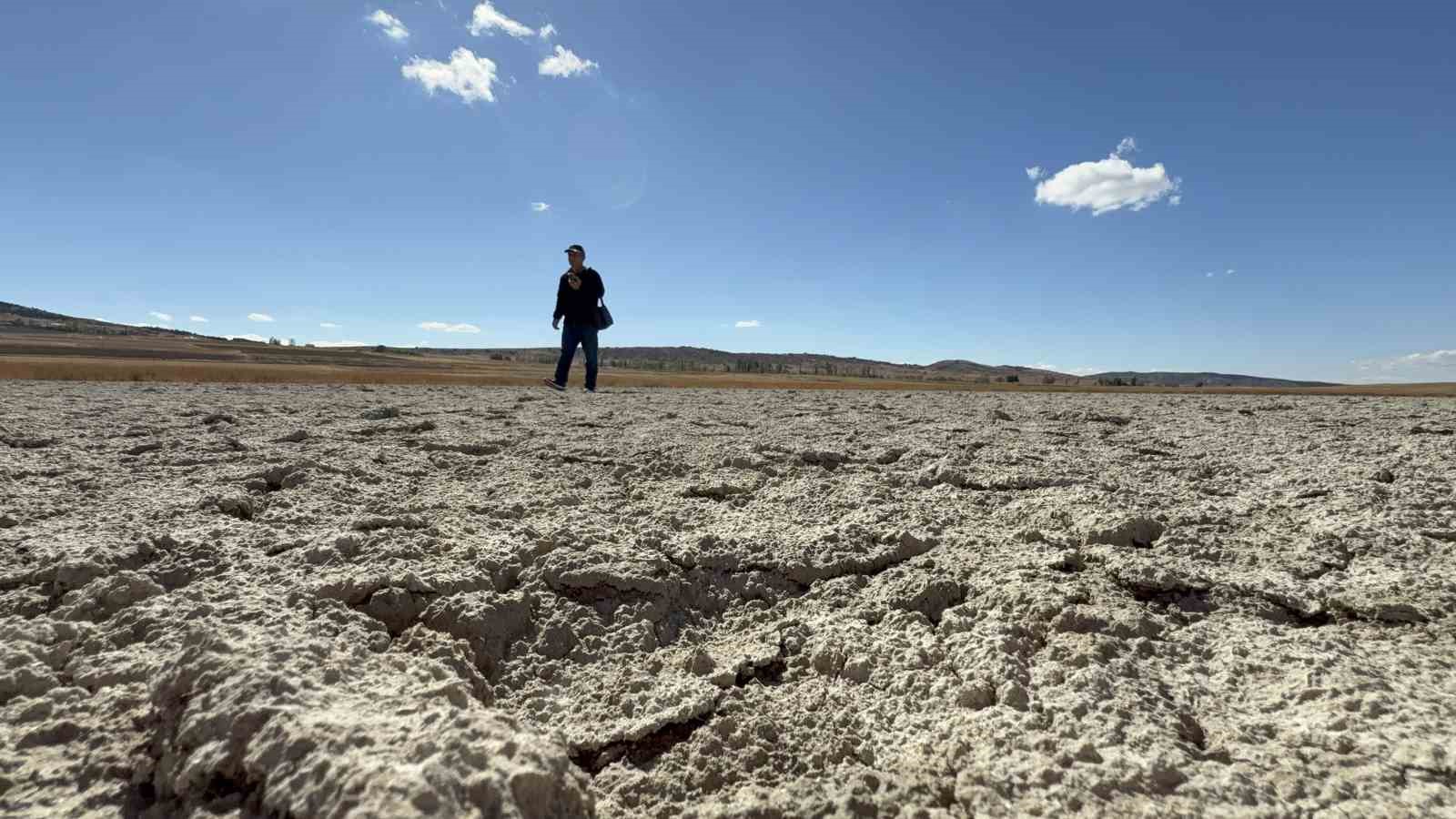 Kuşların dans ettiği Uylubağı göleti kuraklık nedeniyle çorak zemine dönüştü
