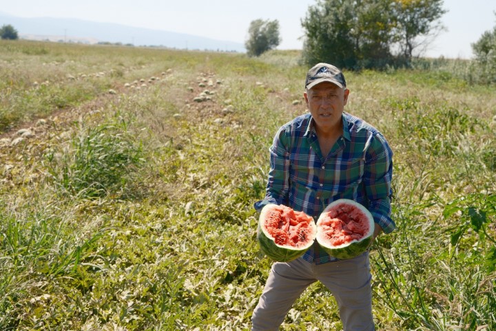 Londra’da kazandıklarıyla memleketine toprak yatırımı yaptı