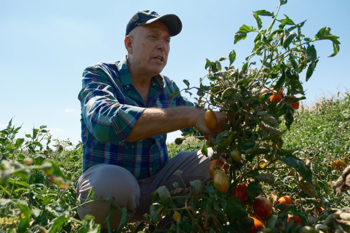 Londra’da kazandıklarıyla memleketine toprak yatırımı yaptı