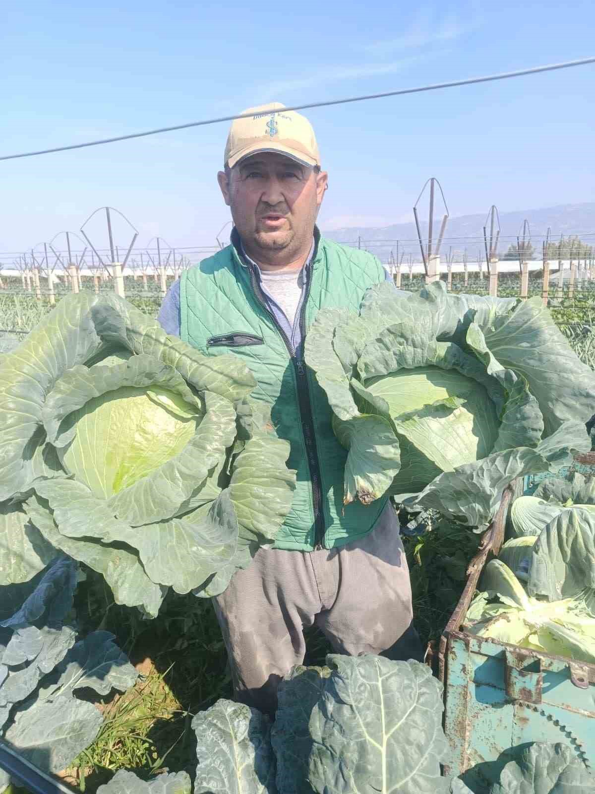 Sarıg&ouml;l Pazarı ata tohumlu sebzelerle renklendi
