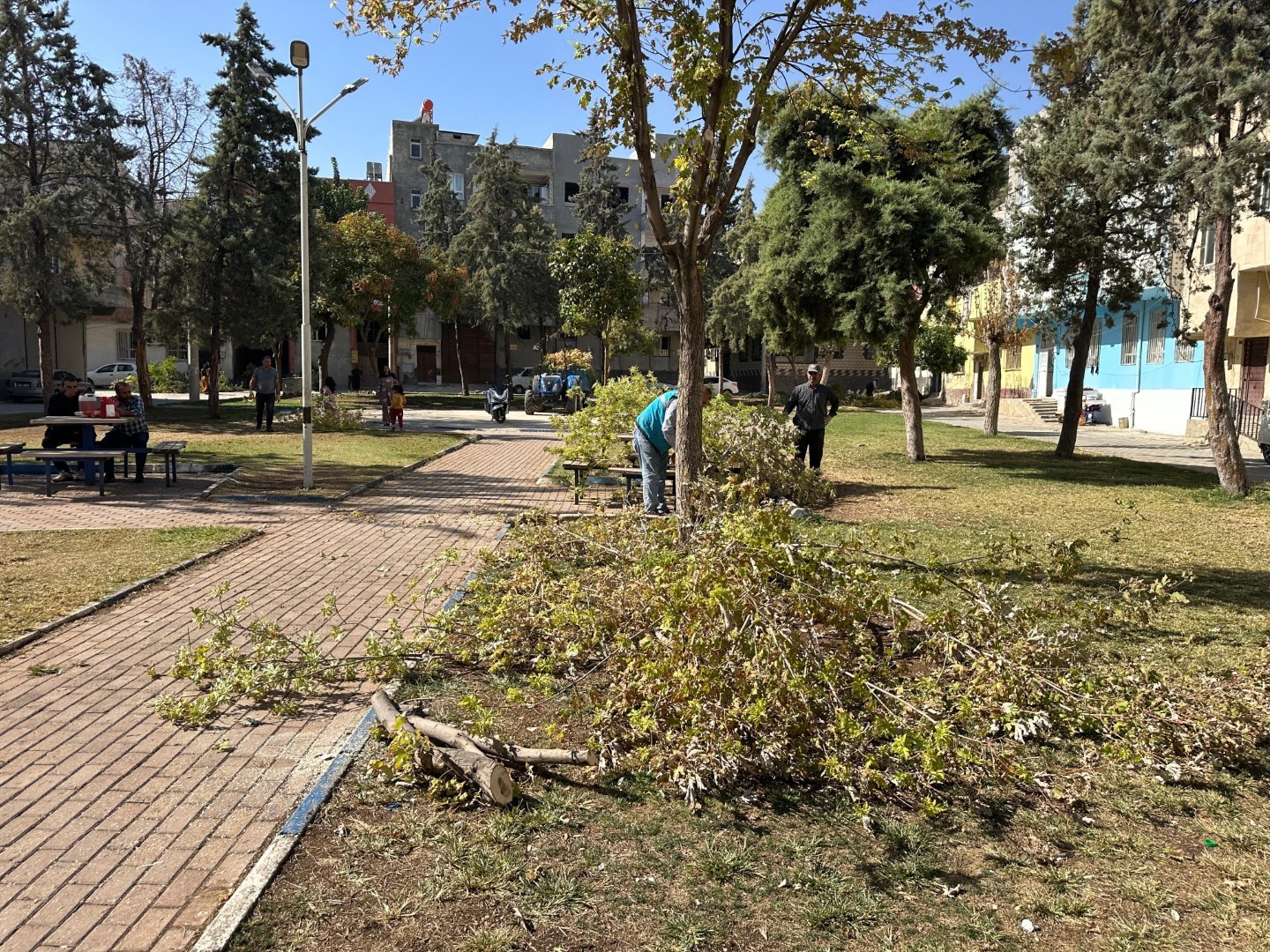 Eyyübiye’deki parklarda sonbahar bakımı