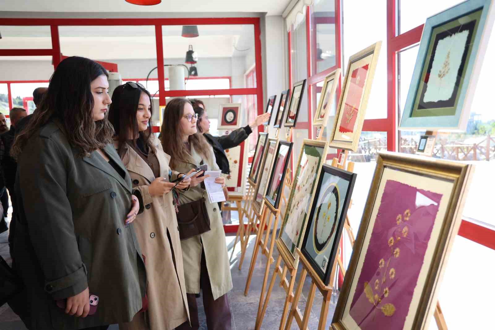 Botanik bahçenin çiçekleri sergisi beğeniye sunuldu
