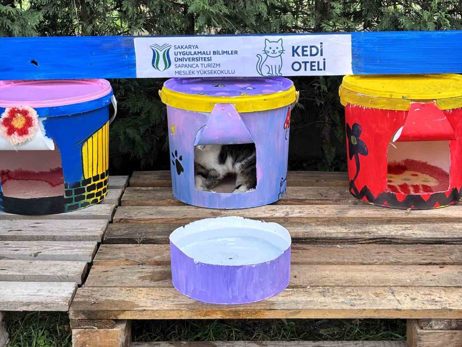 Geri dönüştürülen kovalar kedi oteline dönüştü