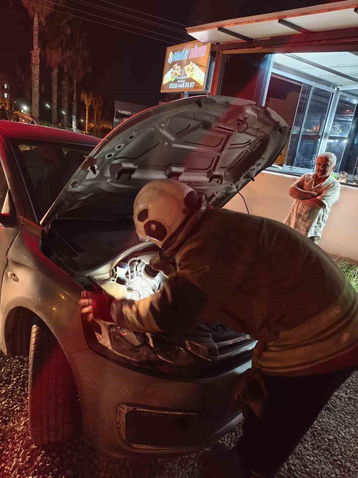 &Uuml;ş&uuml;yerek aracın motoruna giren yavru kedi, itfaiye ekiplerinin &ccedil;alışmasıyla kendiliğinden &ccedil;ıktı
