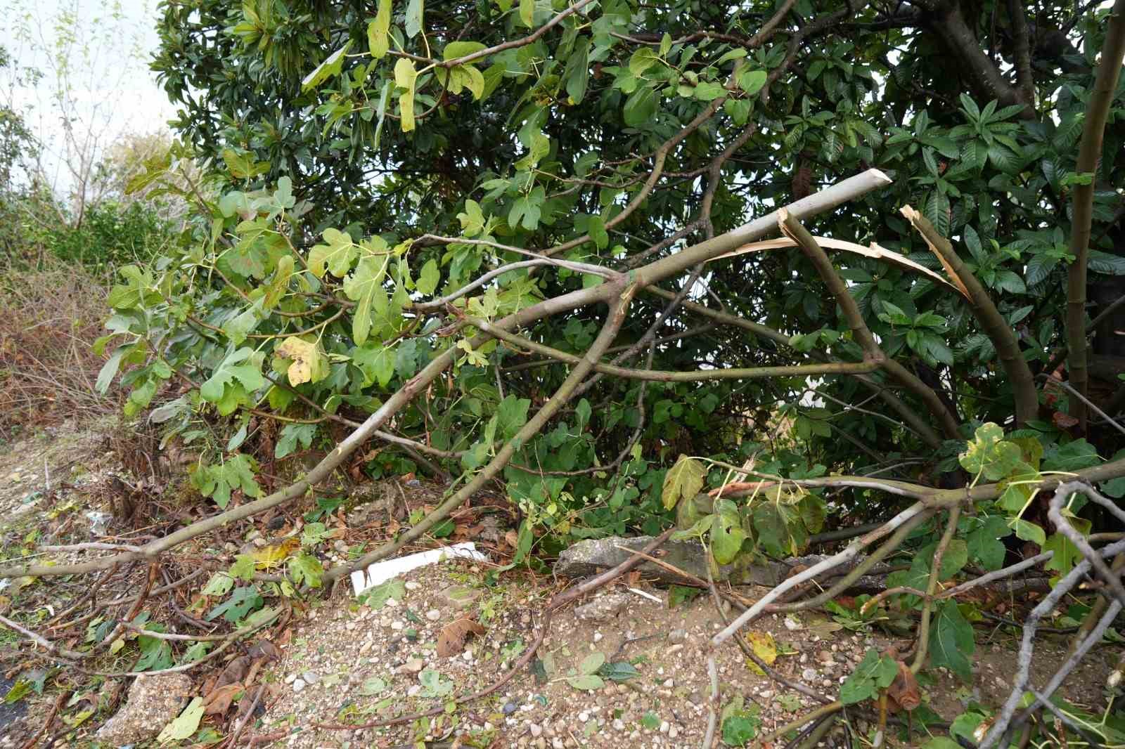 Antalya&rsquo;da sağanak seraları da vurdu
