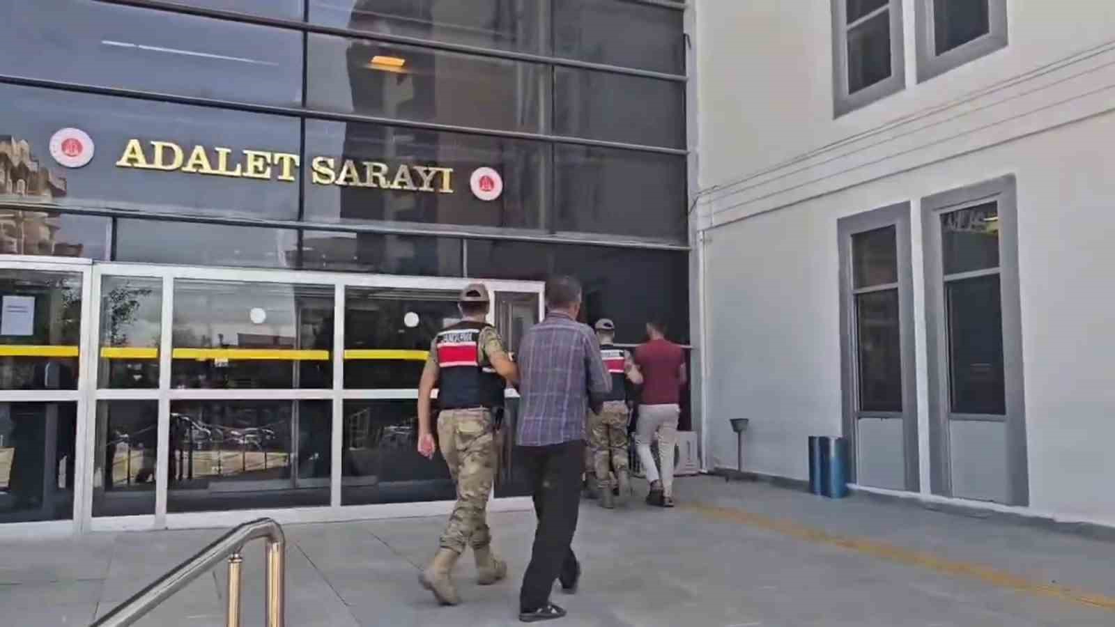 Uyuşturucu tarlasında bin 876 k&ouml;k kenevir ele ge&ccedil;irildi: 3 tutuklama
