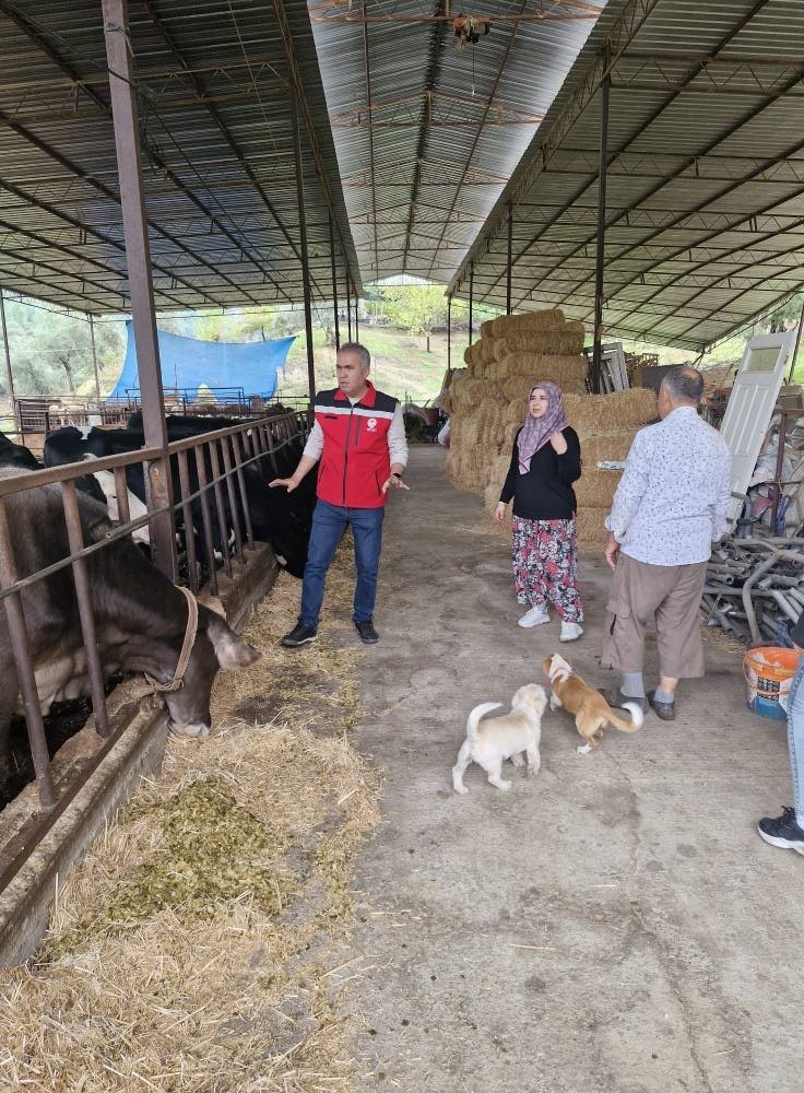 Efelerli kadın çiftçi kendi işletmesini kurdu