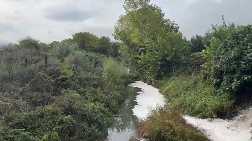 Gemlik Körfezi’nde kirlilik endişeye yolaçıyor
