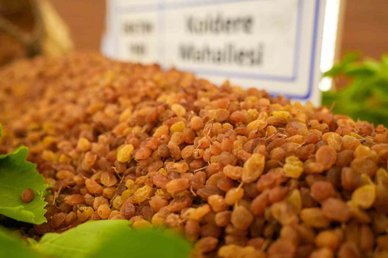 Manisa’nın 9 aylık tarım ihracatı 706,7 milyon dolara ulaştı