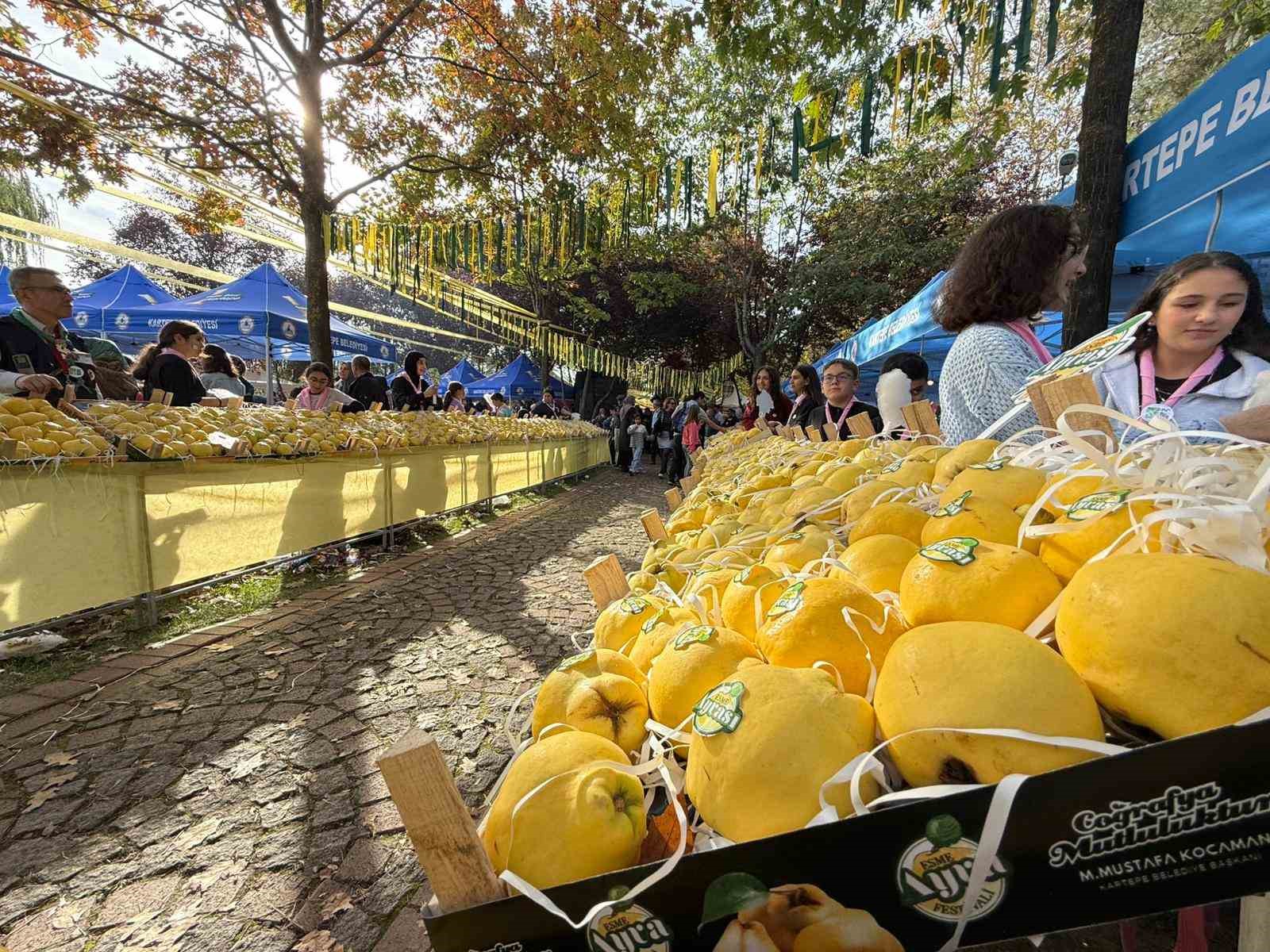 Kalitesiyle ünlü Eşme ayvası, festivalle görücüye çıktı
