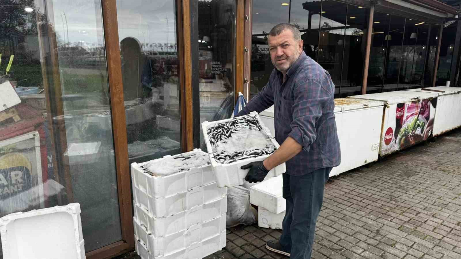 Alaplı’da hamsi 100 liradan alıcı buldu
