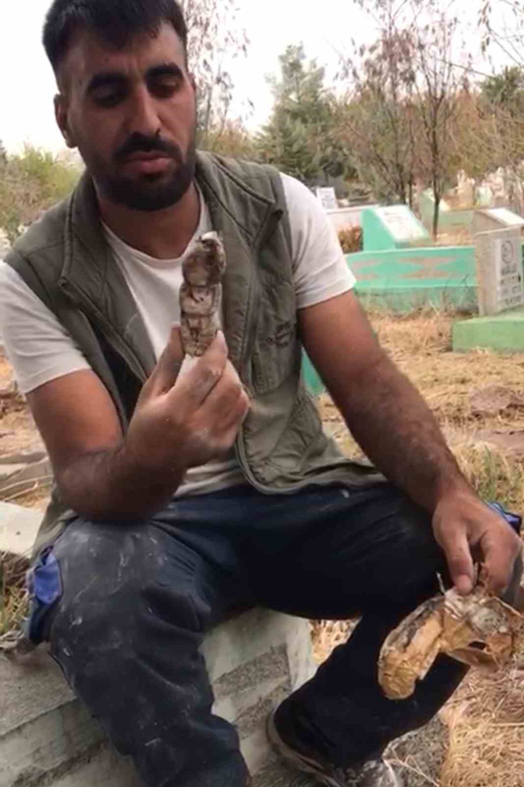 Mezarlıktan kefenlenmiş oyuncak bebek &ccedil;ıktı
