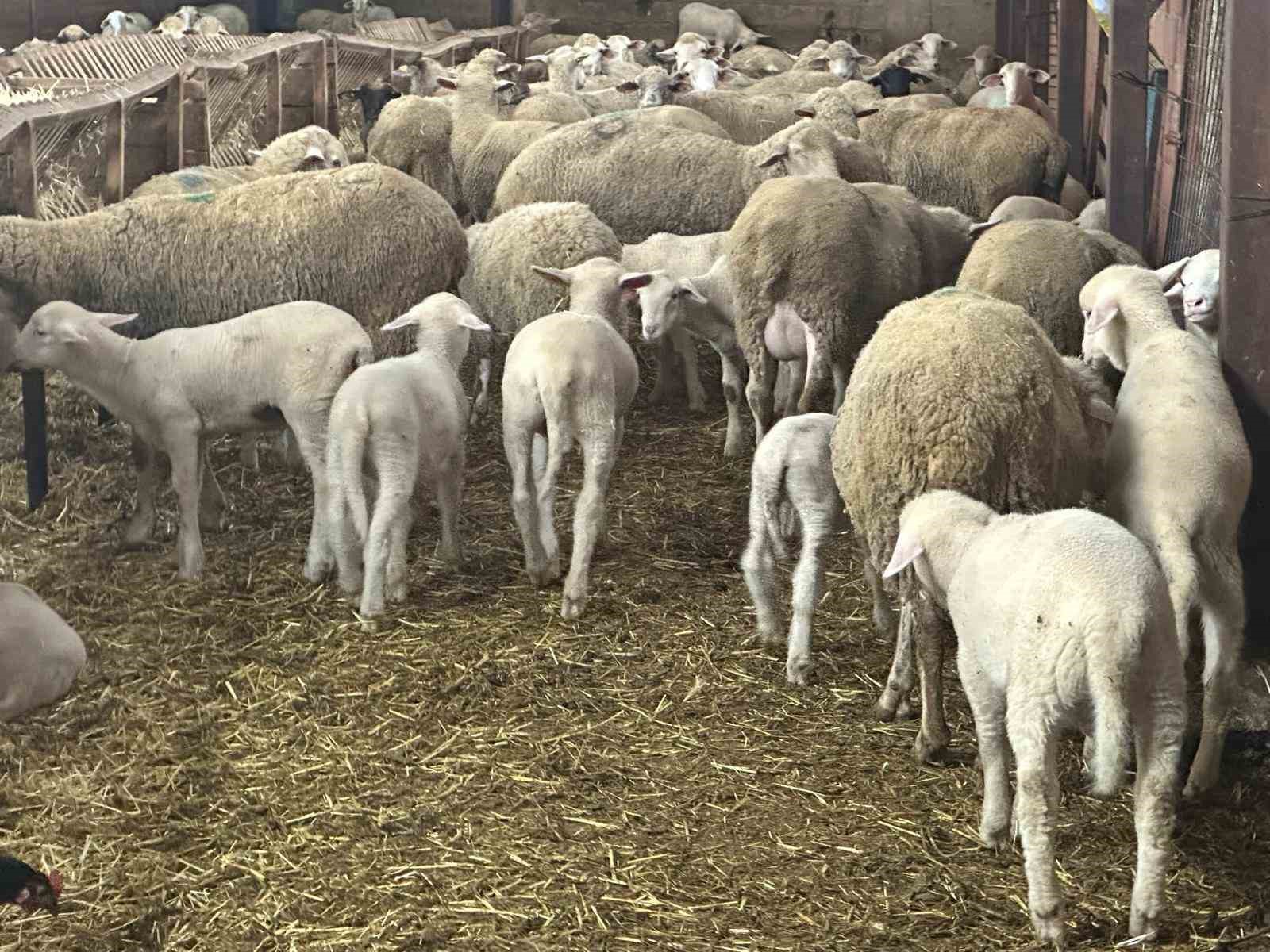 Besiciler şapın yol a&ccedil;tığı zararların karşılanmasını istedi
