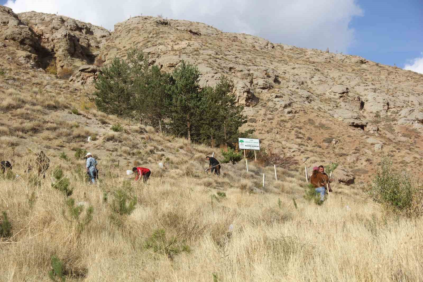 Sivas’ta üniversite öğrencileri 7 günde 30 bin fidan dikti
