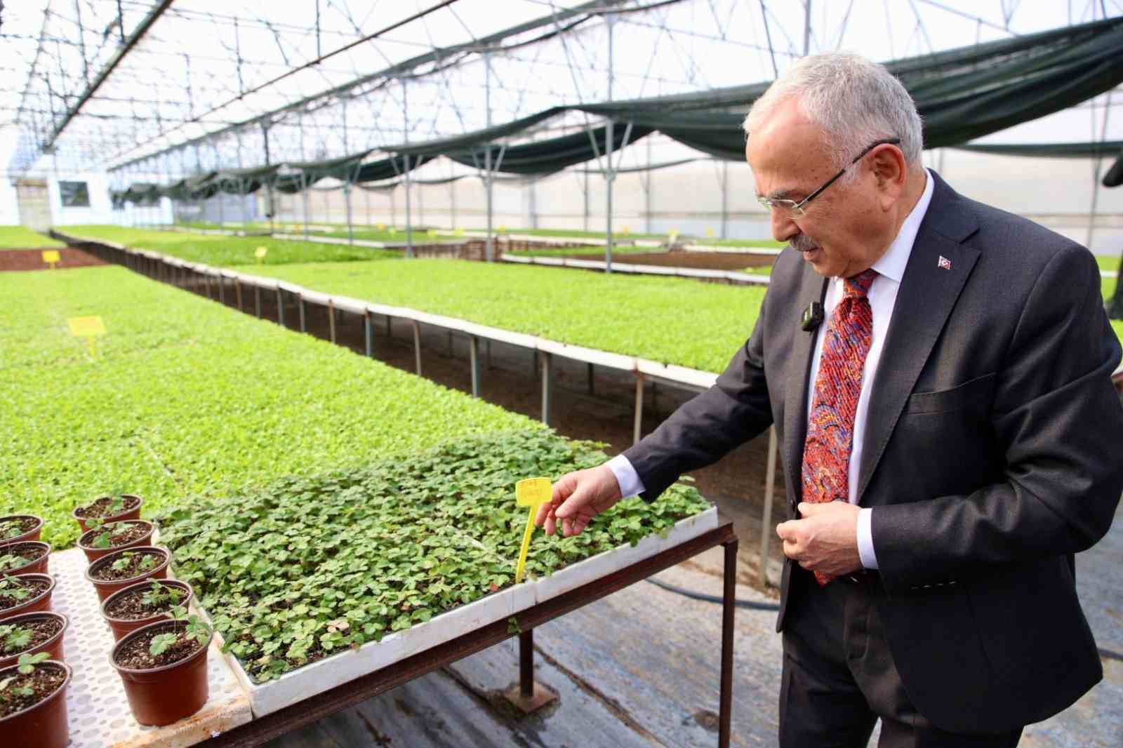 Başkan Güler: "Ürettiğimiz 4 milyon 600 bin fideyi üreticilerimize dağıttık"
