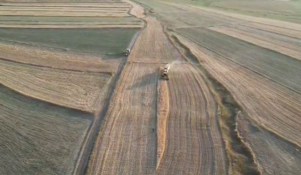 İthalat açıklaması bile arpanın ateşini düşürmedi
