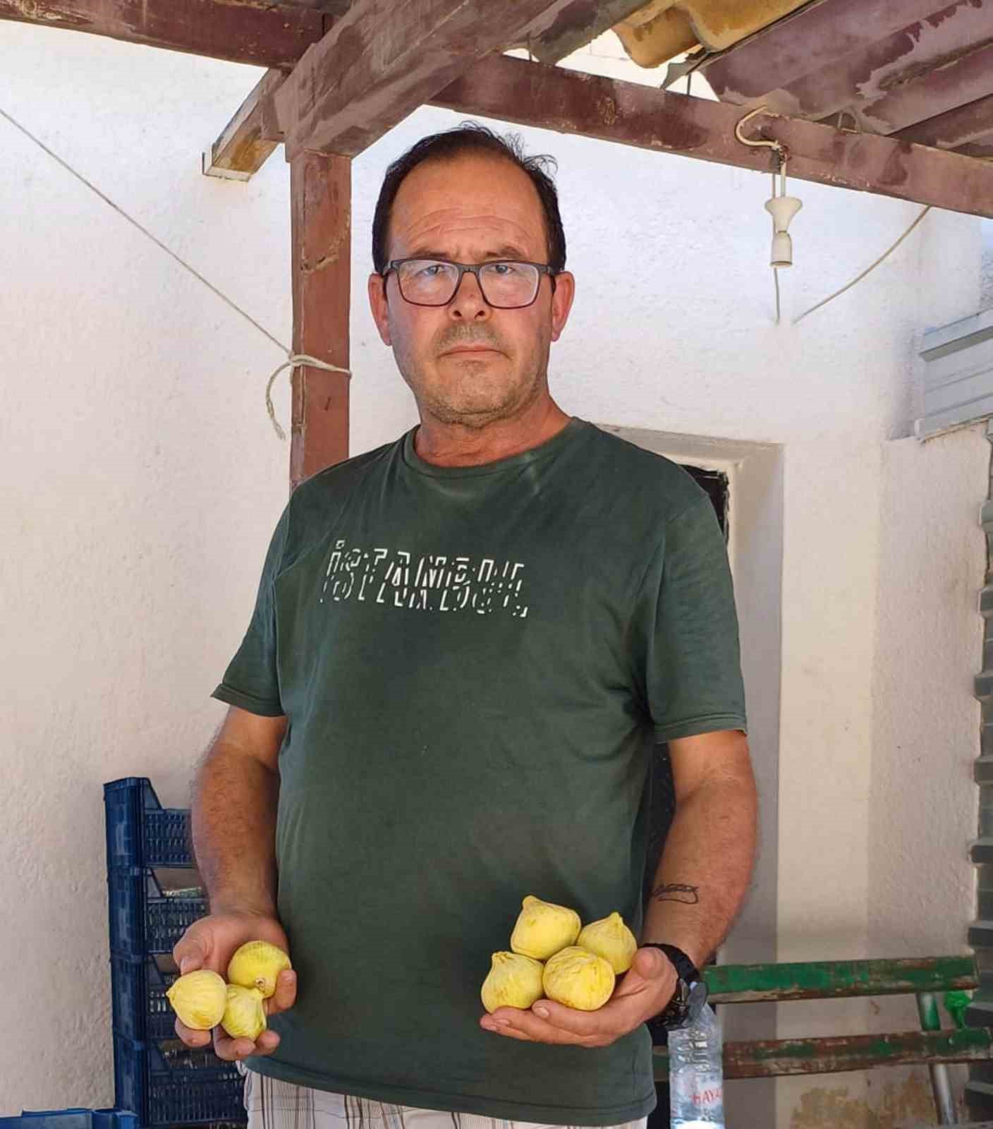 Mersin’de incir sezonu sona erdi, üreticisinin yüzü güldü
