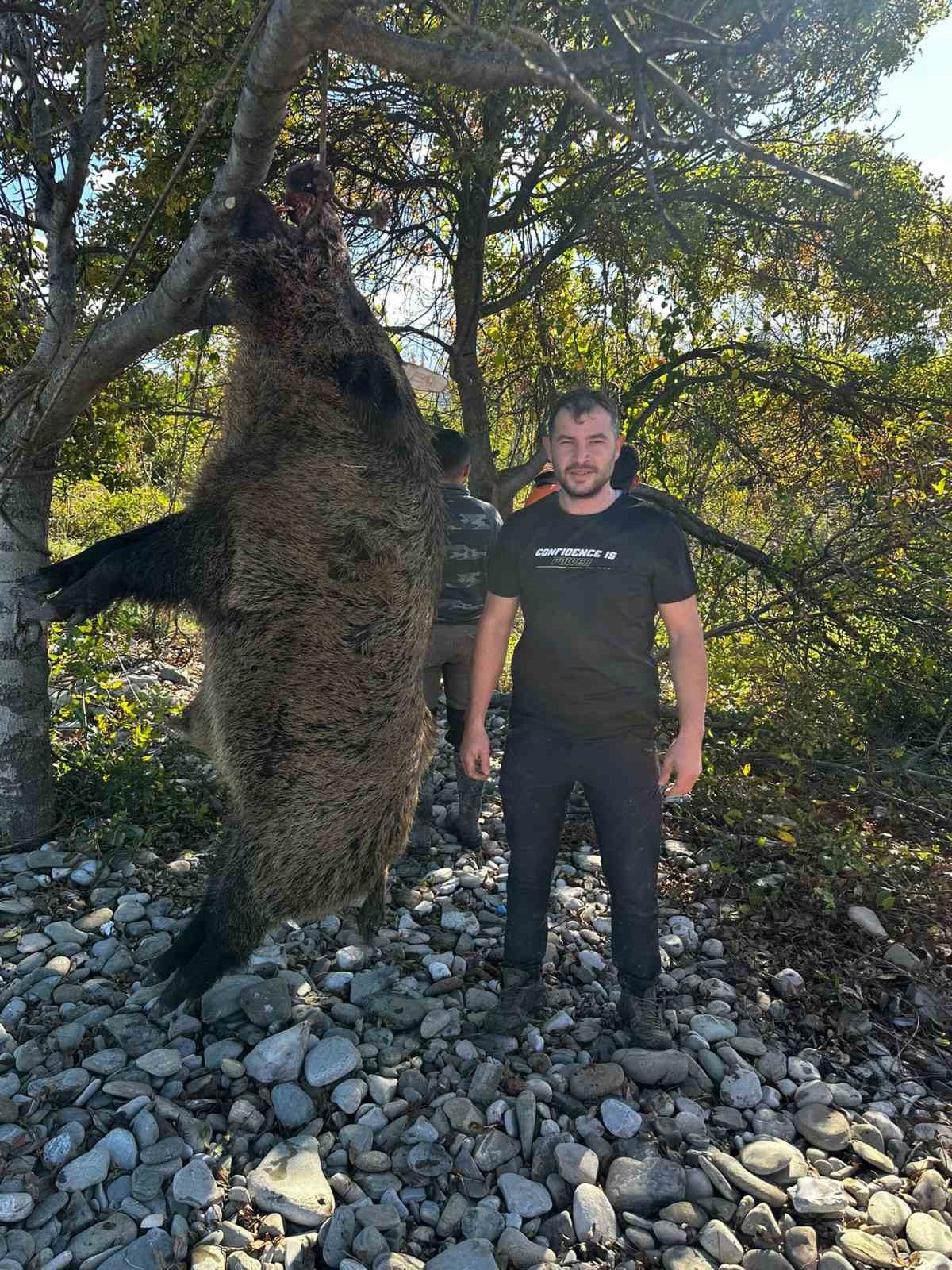 Sinop’ta avcılar 300 kiloluk domuz avladı
