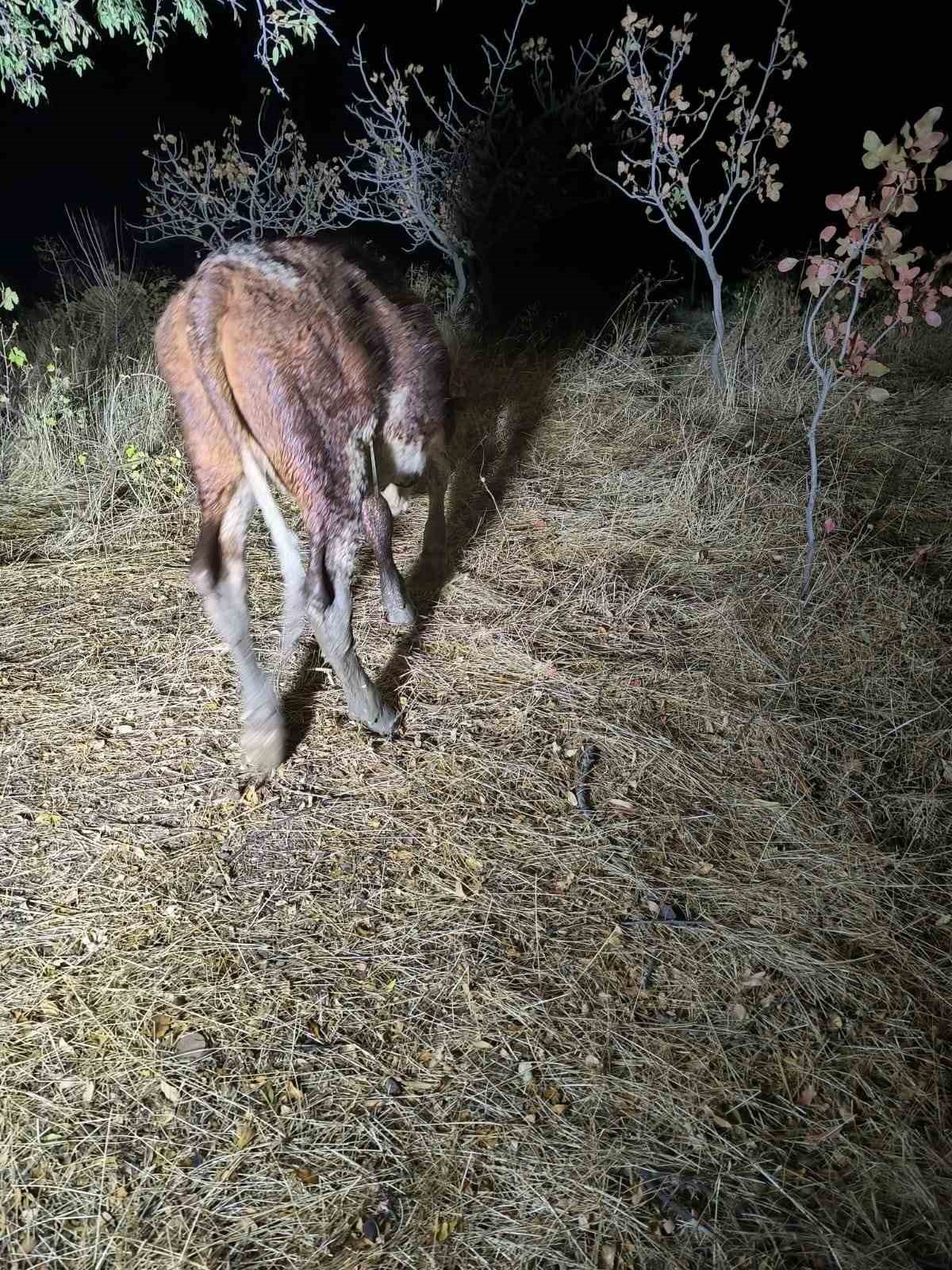 Siirt&rsquo;te su kuyusuna d&uuml;şen ineği ekipler kurtardı
