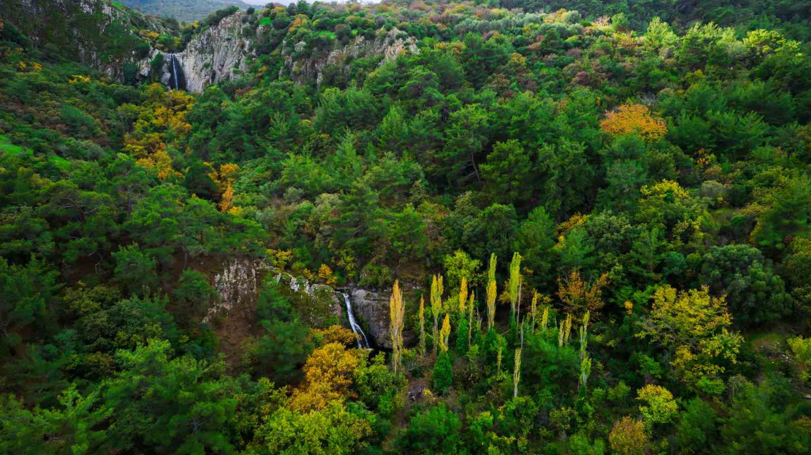 Manisa’da sonbahar manzaraları Karadeniz yaylalarını aratmadı
