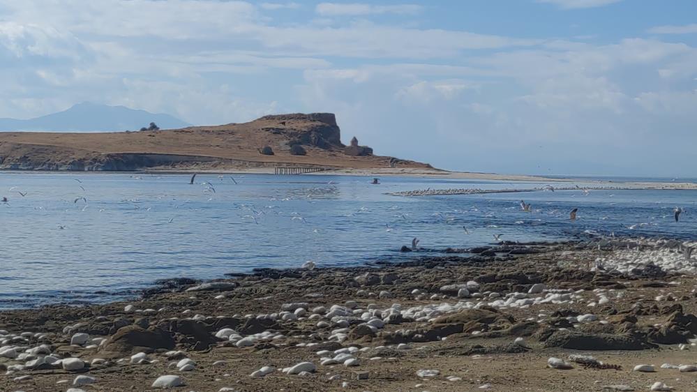 Van Gölü’nde su seviyesi düştü, Çarpanak Adası’na giden antik yol ortaya çıktı