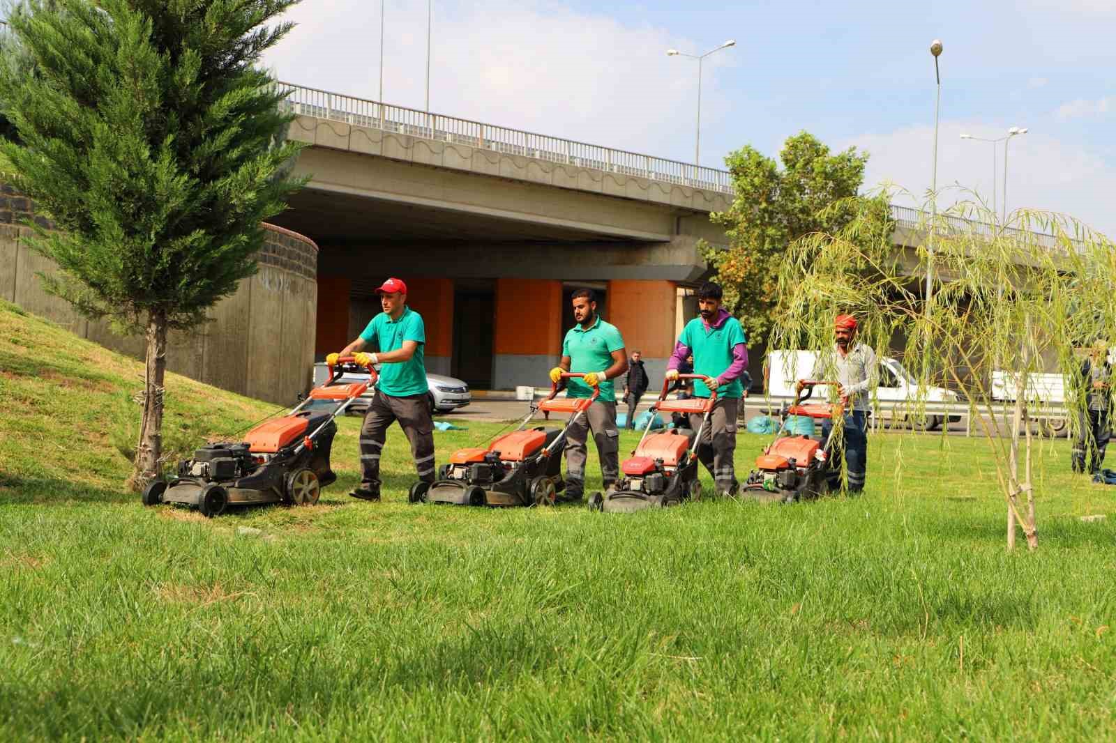 Kent genelinde ağaç budama çalışmaları başladı
