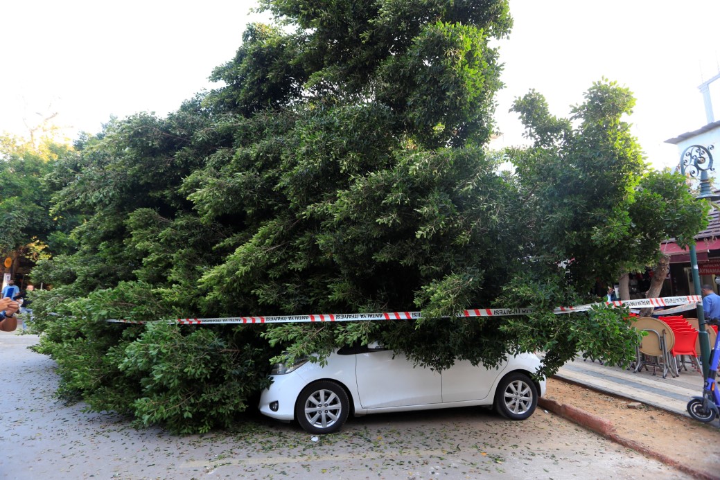 Antalya’da faciadan dönüldü: Araçların üzerine devrilen ağacın altında kalmaktan son anda kurtuldu