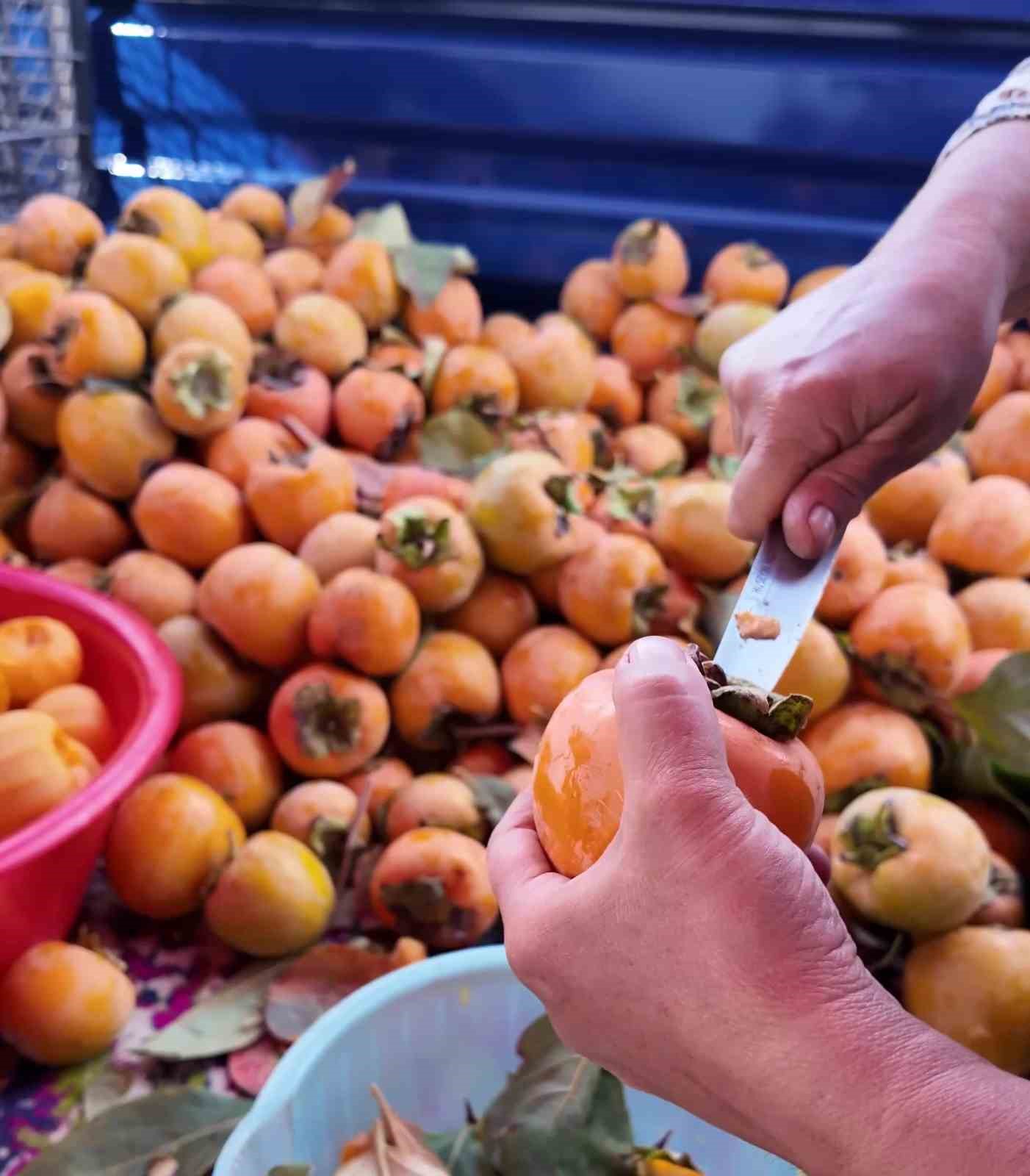 Honaz’ın meşhur cennet hurması bu kez cips olarak damakları şenlendirecek