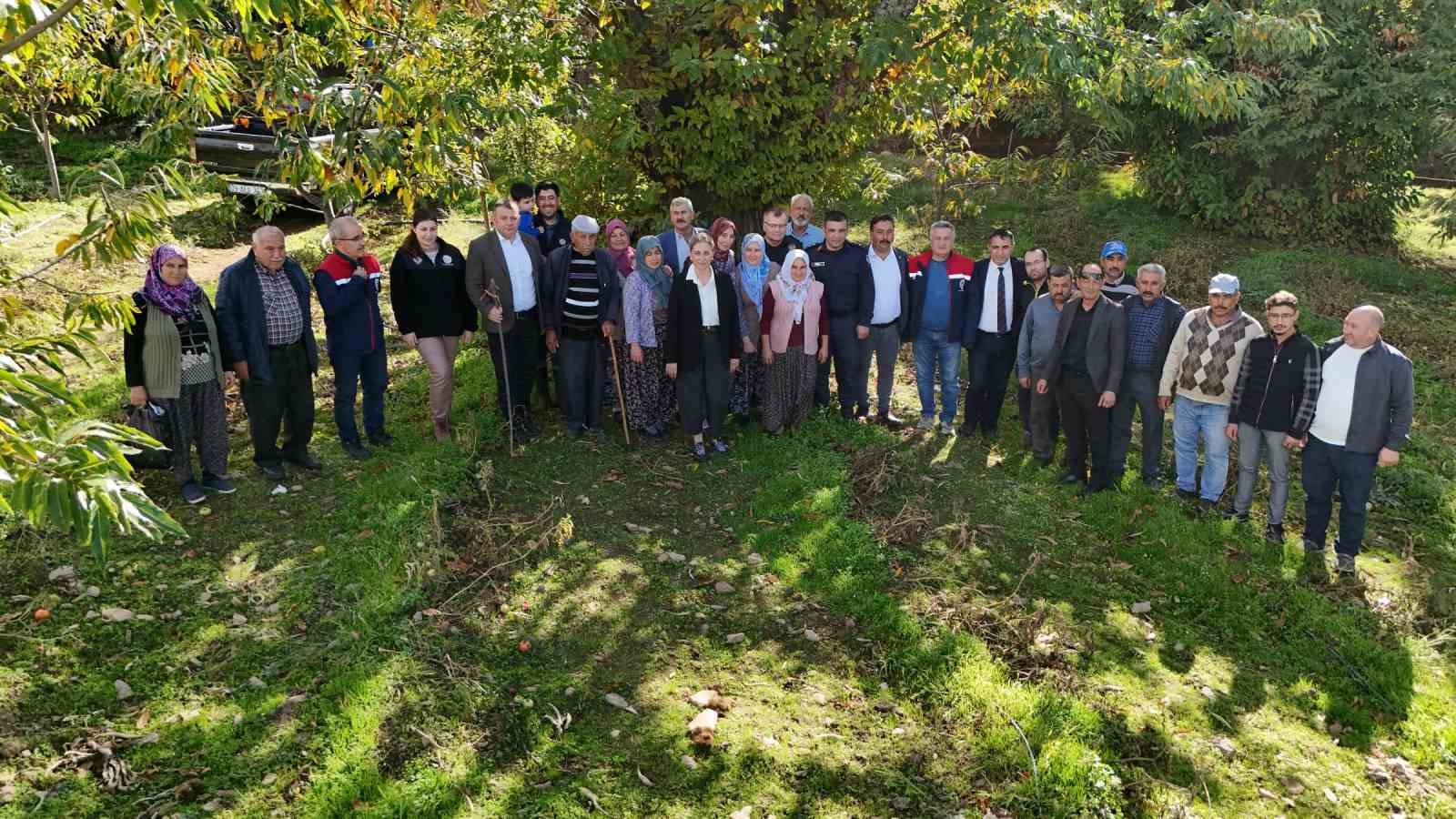 Kaymakam Kan, kestane hasadına katıldı
