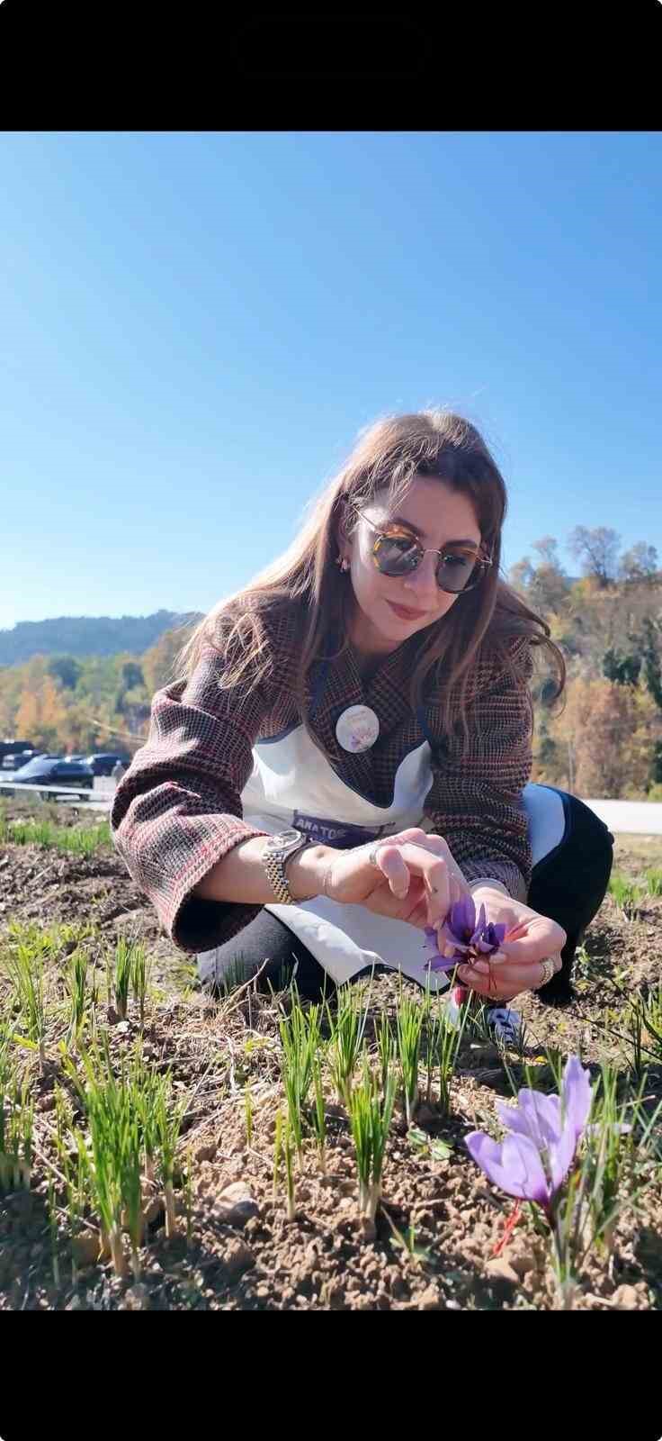 "Anadolu’dakiler" projesinin ilk "İmeci Ağı" dünyanın en pahalı baharatı safran oldu