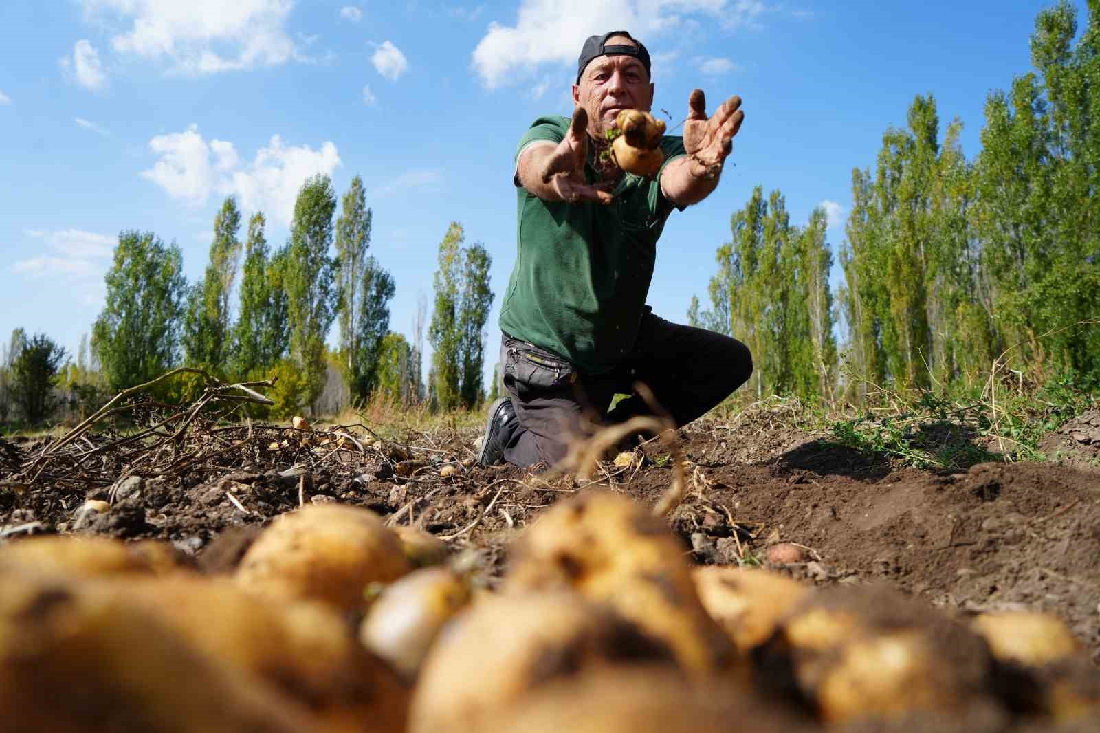 Bayburt’ta patates hasadı yüz güldürdü
