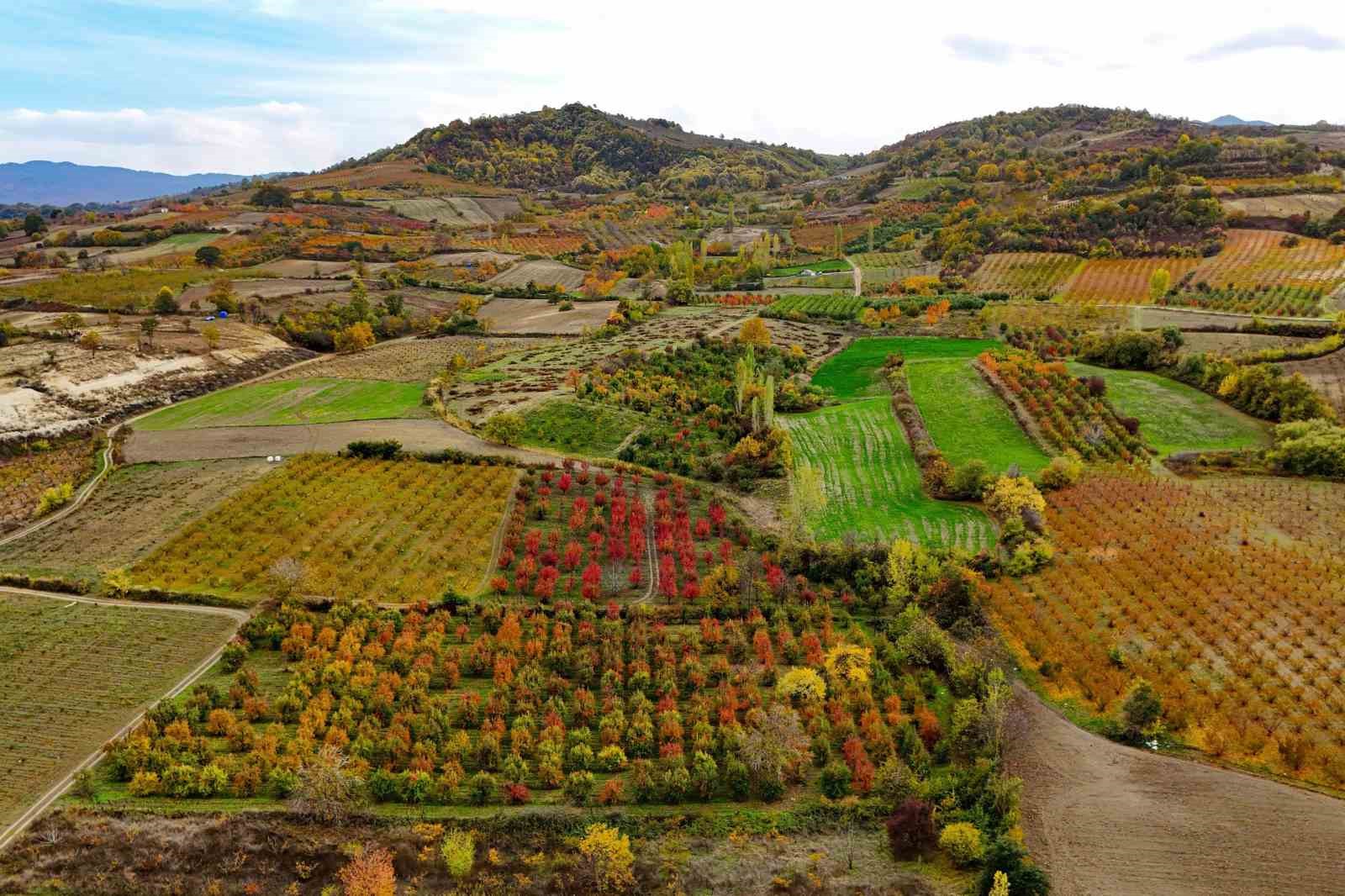 Sonbaharın renk cümbüşü Uludağ eteklerinde
