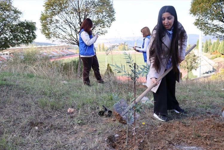 BŞEÜ’de zeytin fidanları toprakla buluştu

