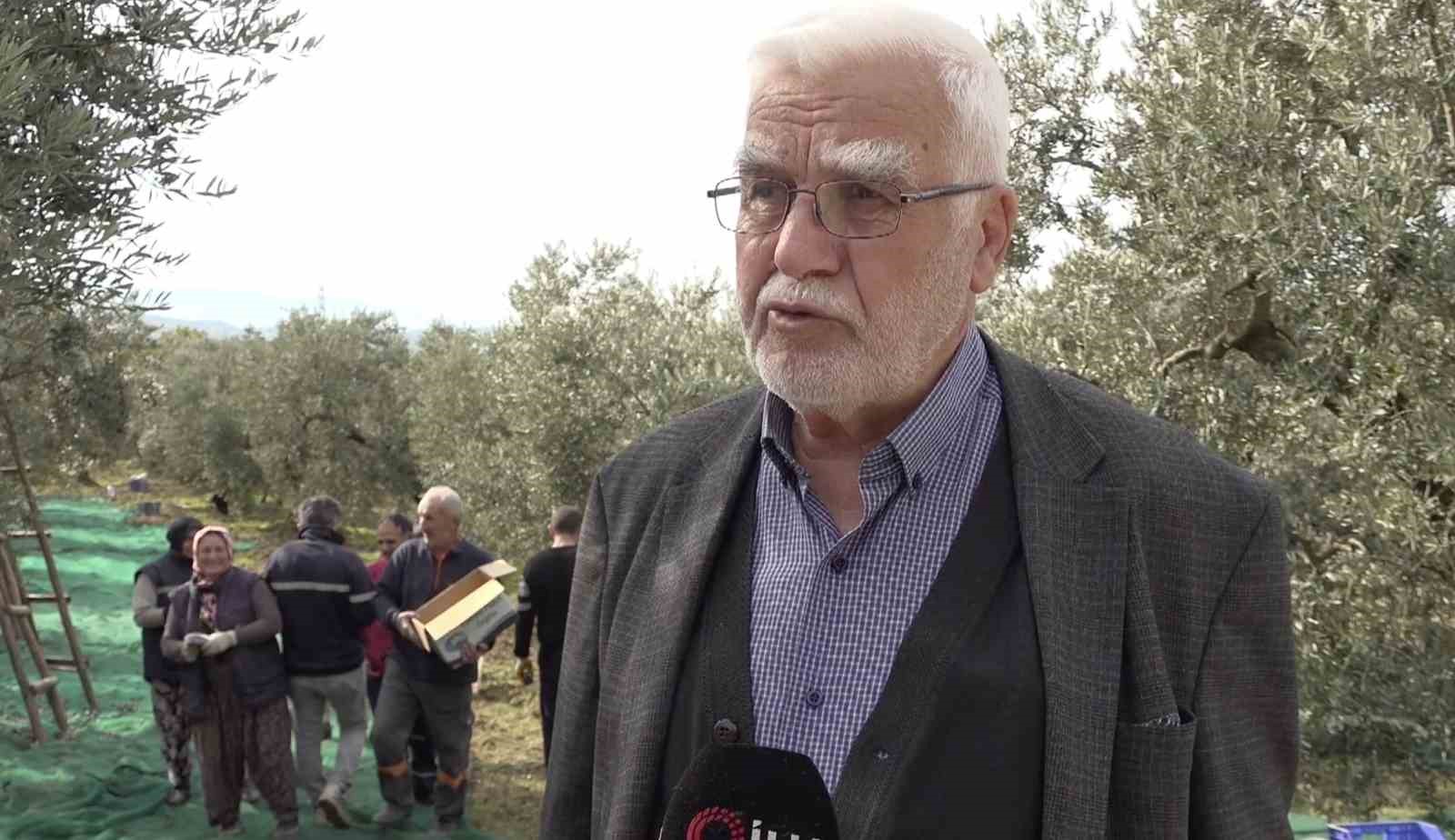 İsviçre sofralarını süsleyen zeytinde bu yıl kalite yüksek