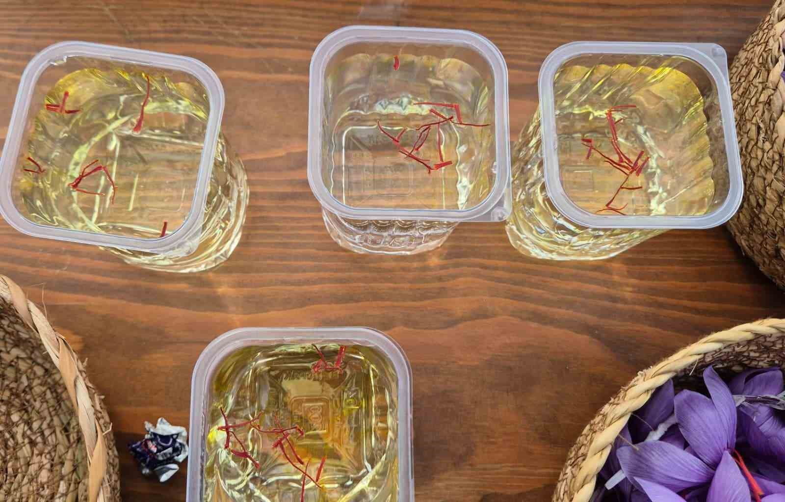 Bu baharatın kilosu 600 bin TL: Topraktan servet fışkırıyor
