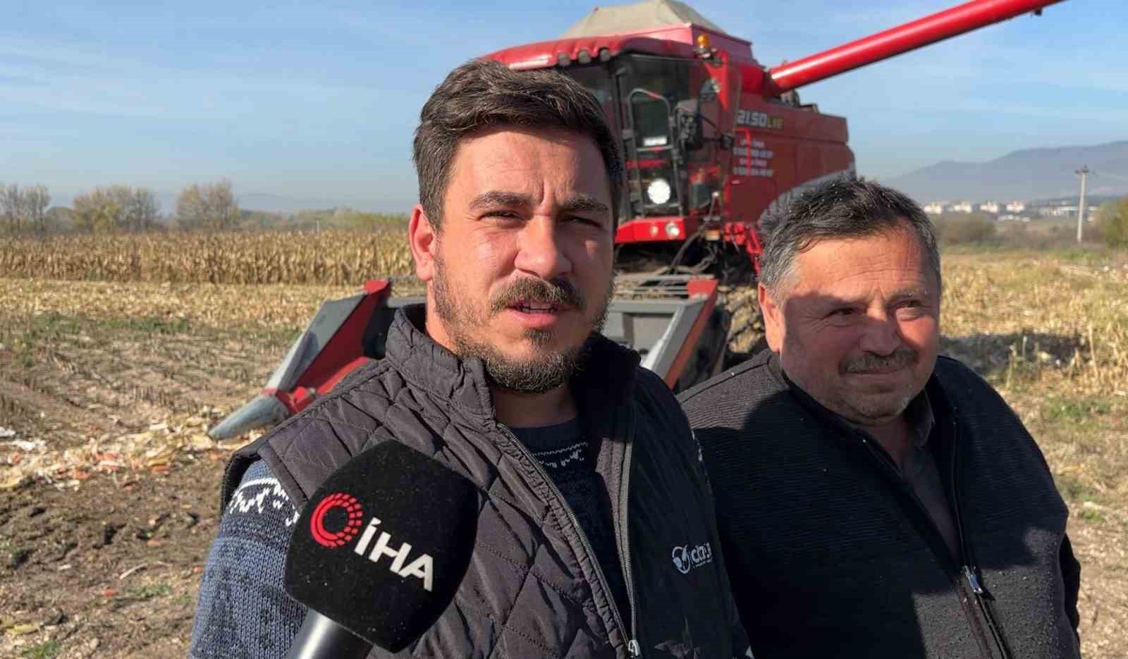 Bolu’da dane mısır hasadı başladı
