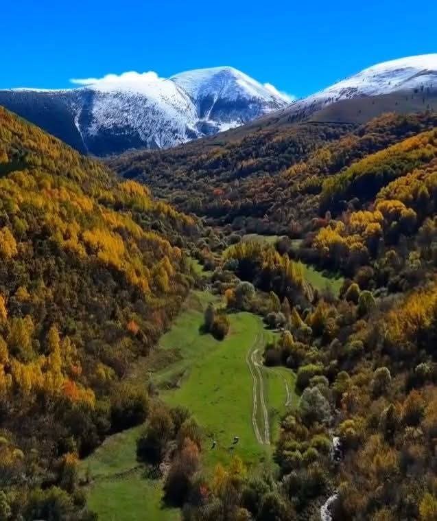 Posof’ta sonbaharla gelen güzellikler
