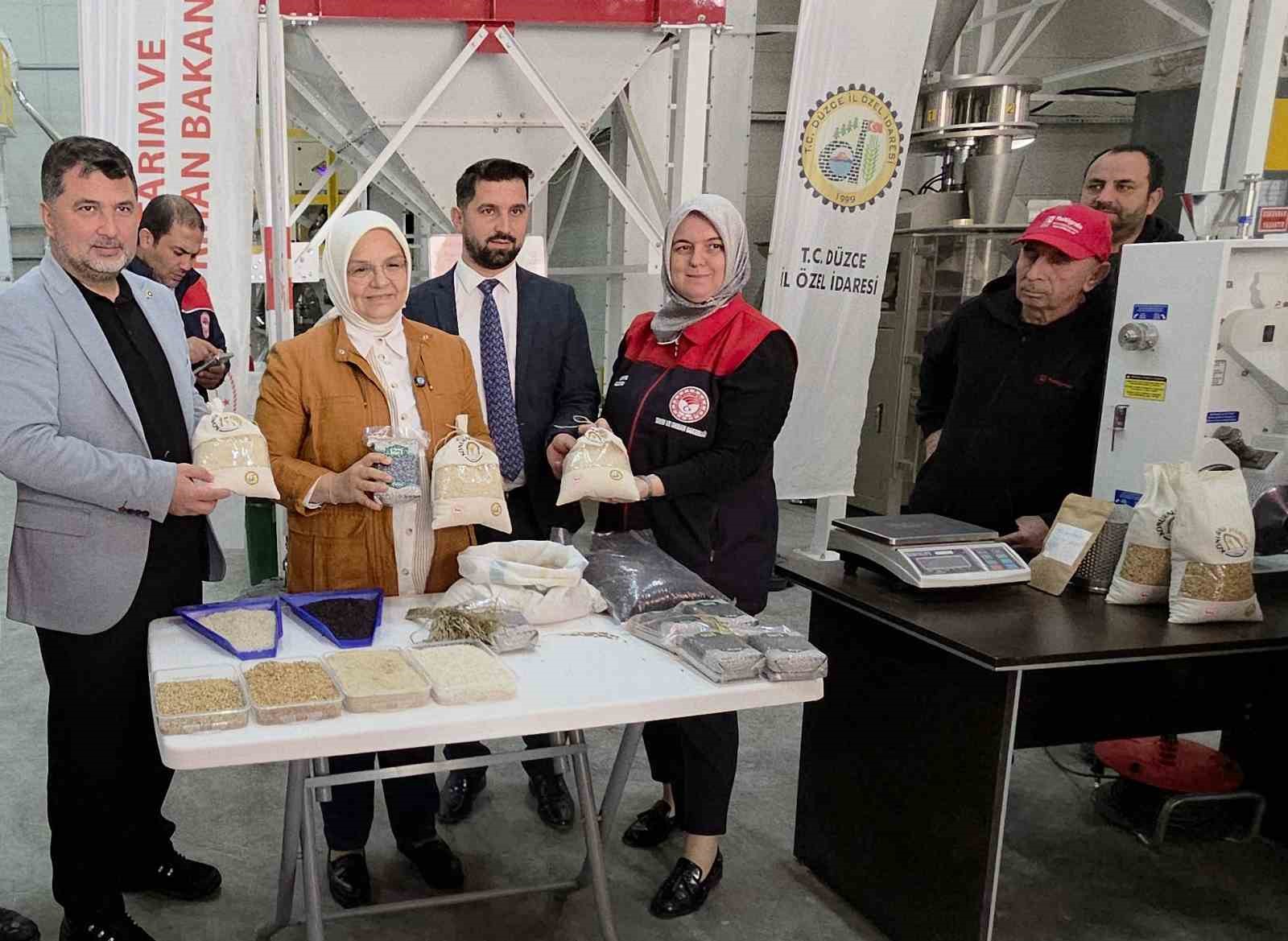 Konuralp pirincinde "damlama sulama" bereketi
