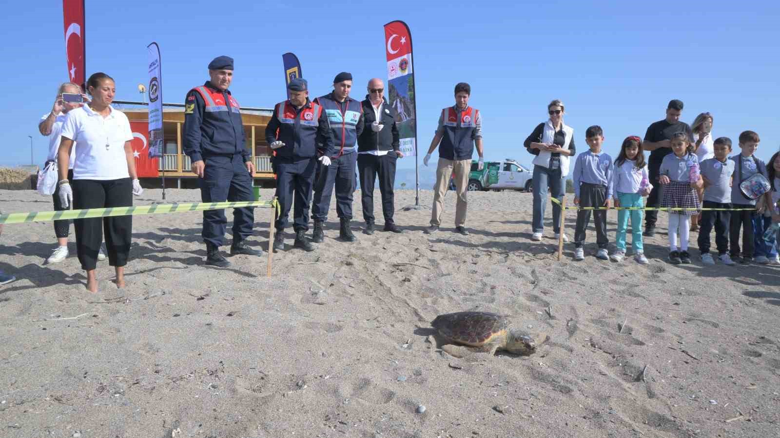 Tedavisi tamamlanan caretta caretta denizin maviliğine kulaç açtı
