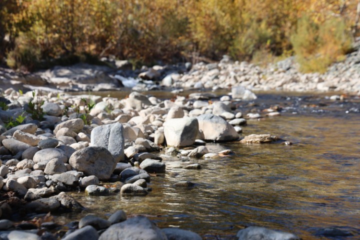 Belediye Başkanı Altınışık: 