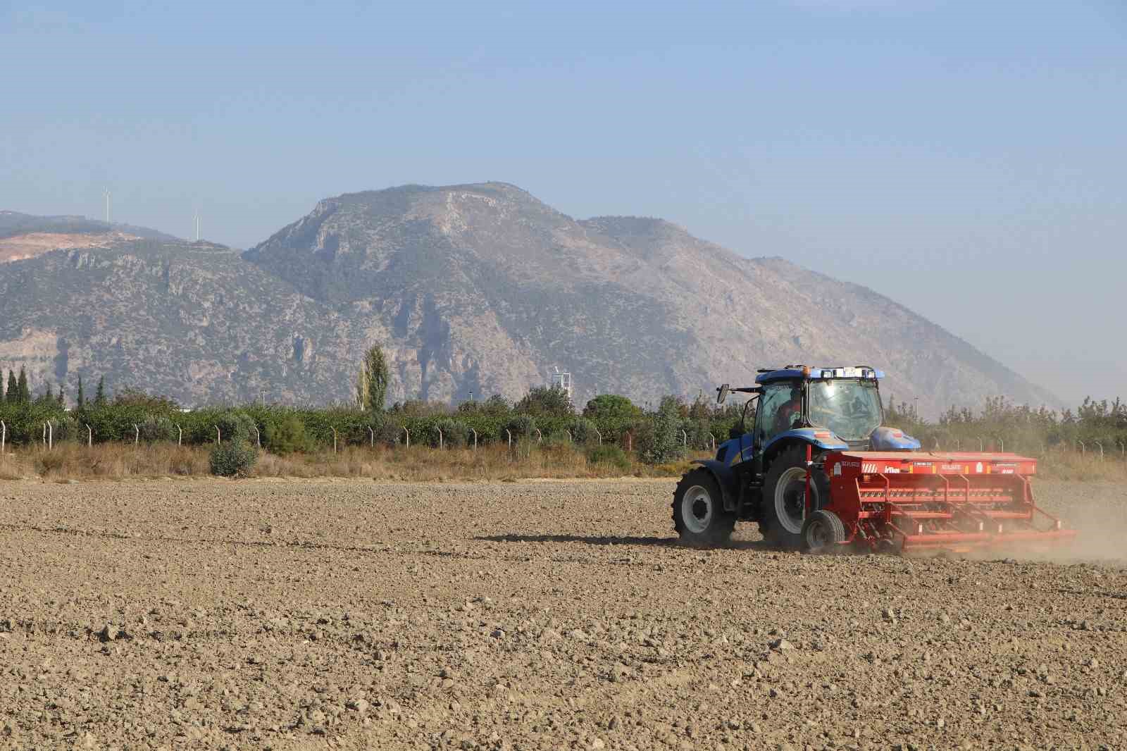 Söke Belediyesi’nin buğday tohumları bereket için yeniden toprakla buluştu
