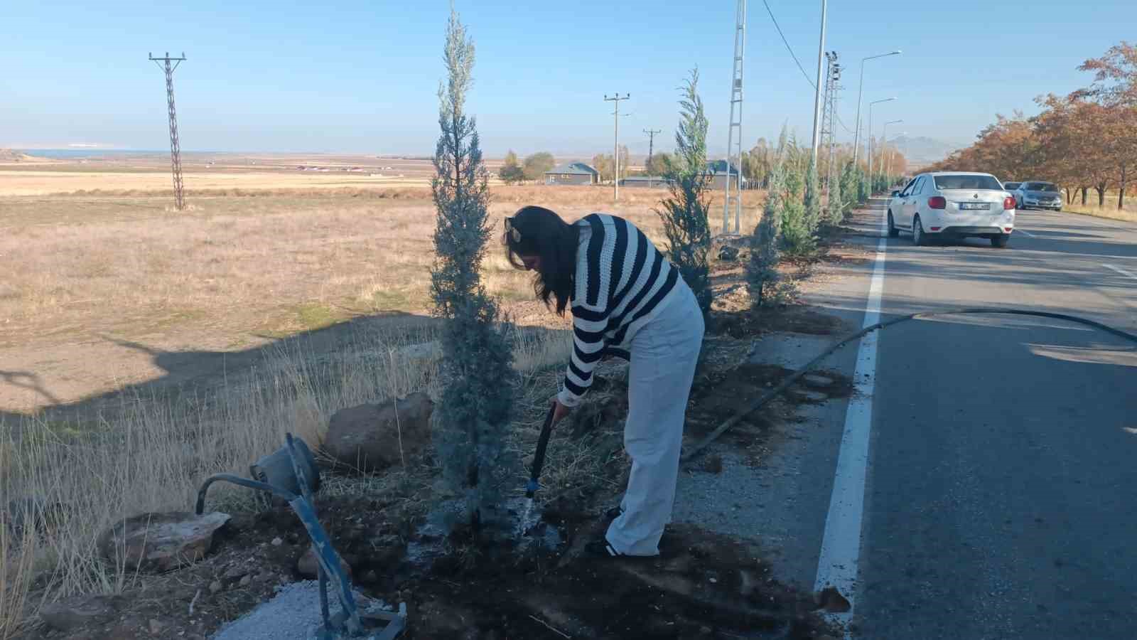 Adilcevaz’da 500 fidan toprakla buluştu
