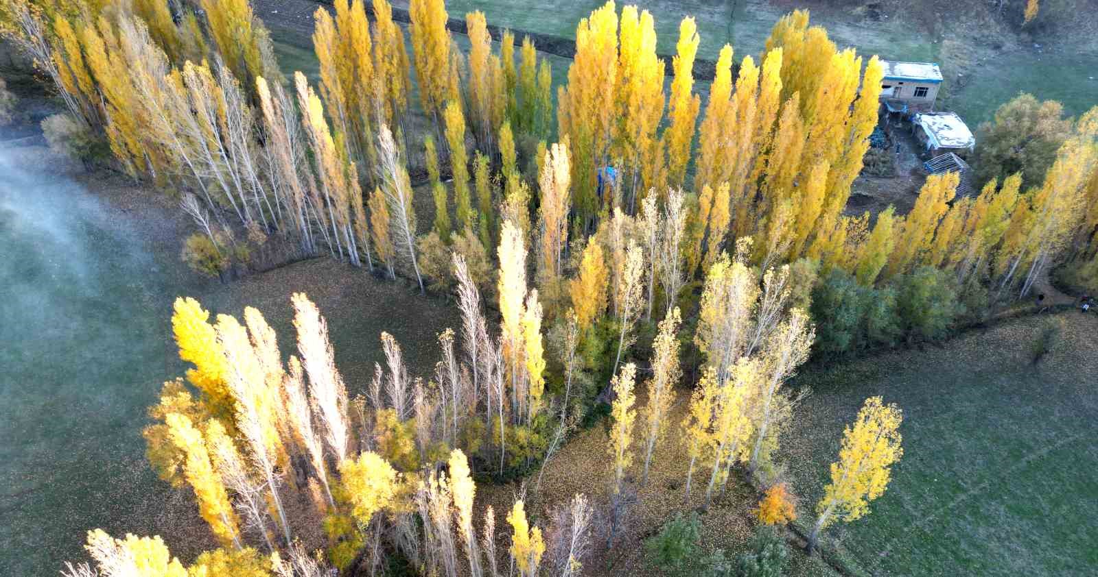 Bitlis’te seyrine doyulmaz sonbahar güzelliği
