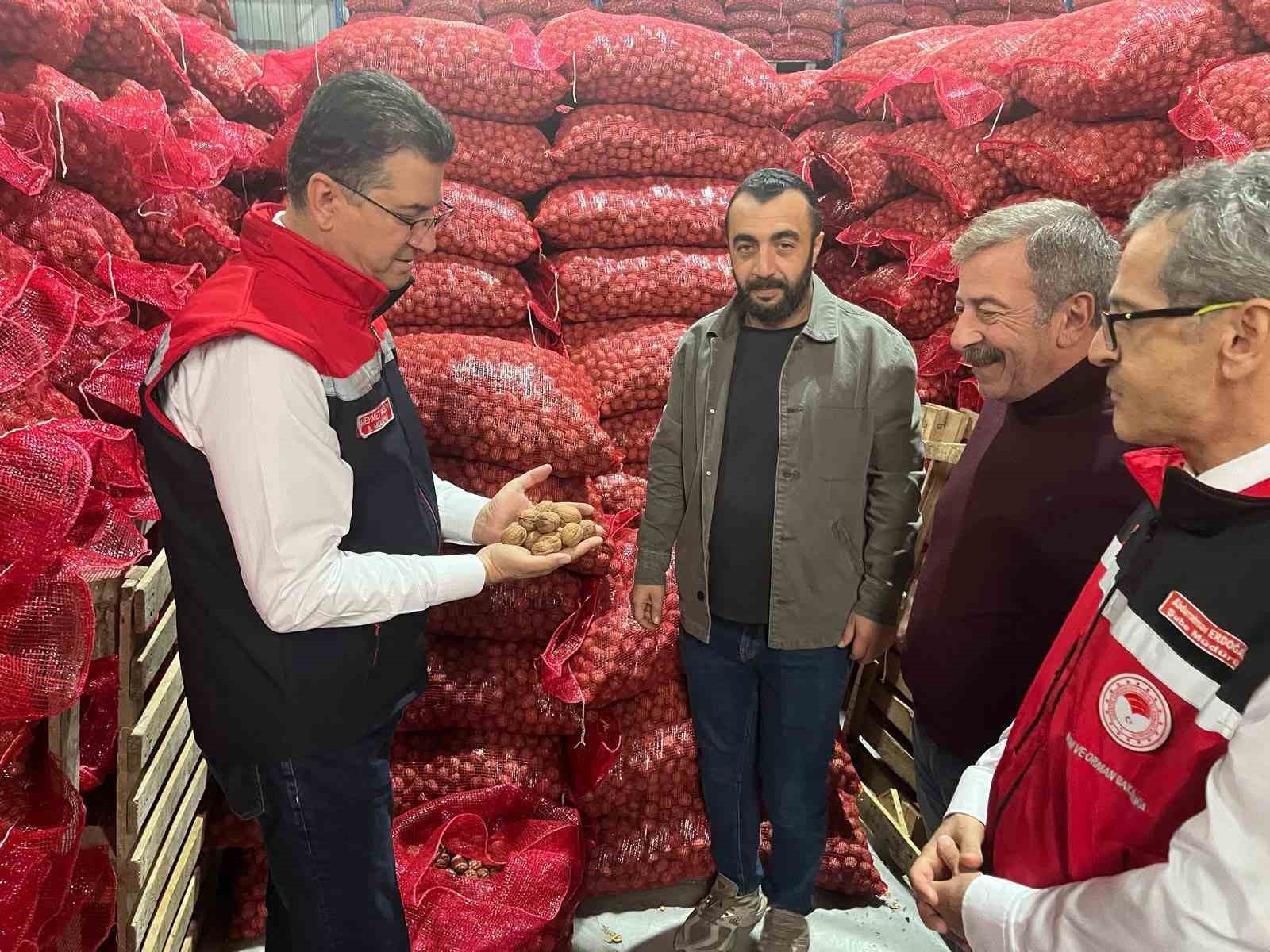 Tekirdağ’da ceviz ekim alanları genişliyor
