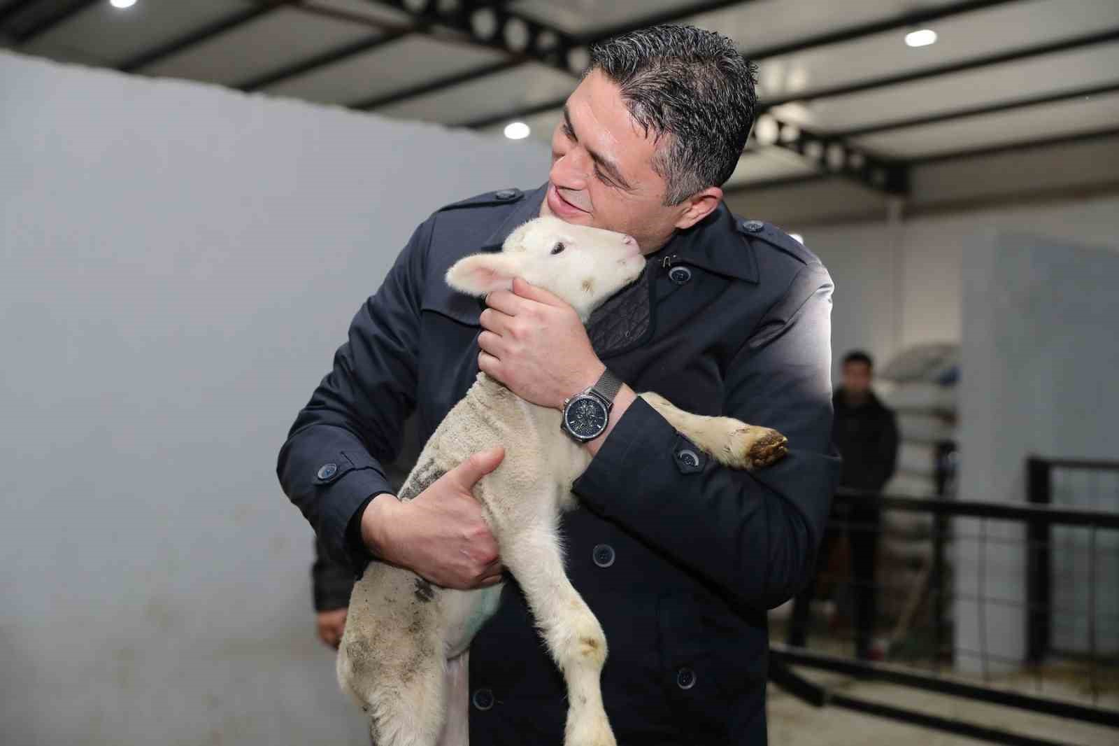 Aliağa’da hibe koyun ve koçlar üreticilere teslim edildi
