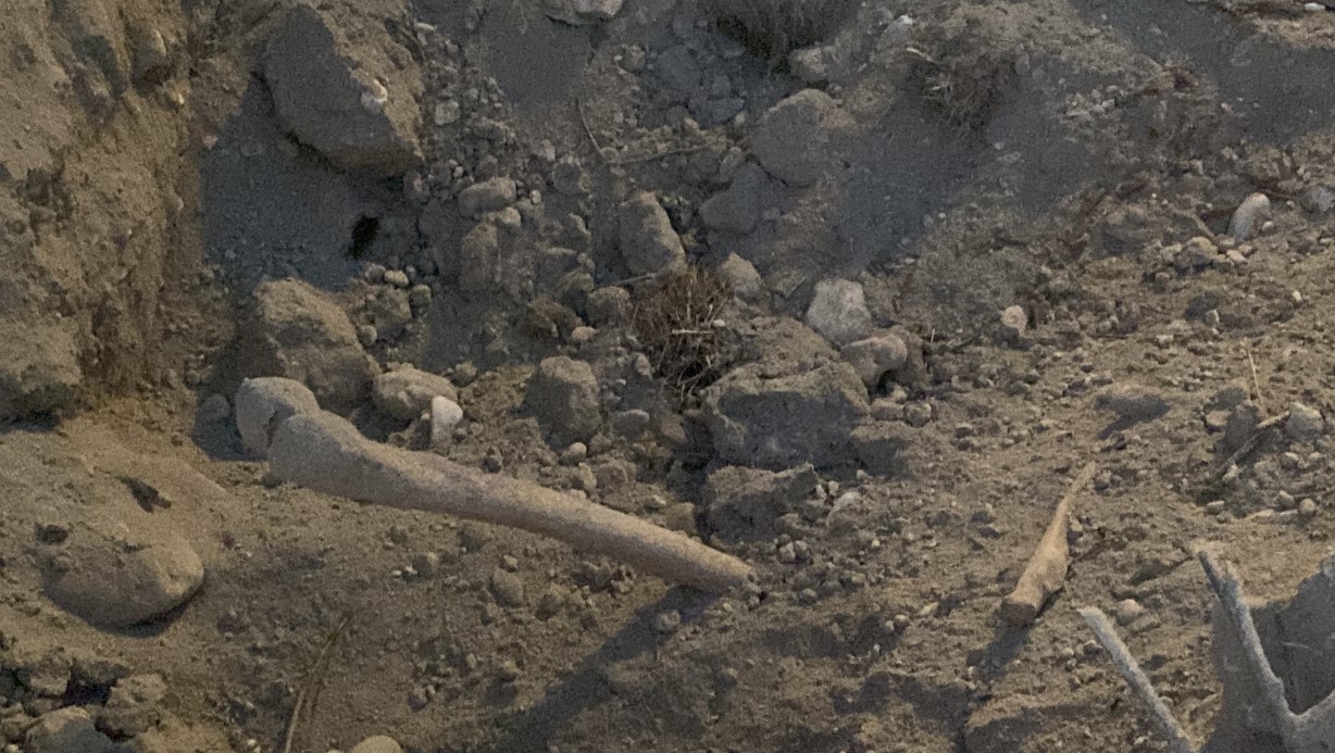 Burdur’da belediyenin kazı çalışması sırasında insan kemikleri bulundu