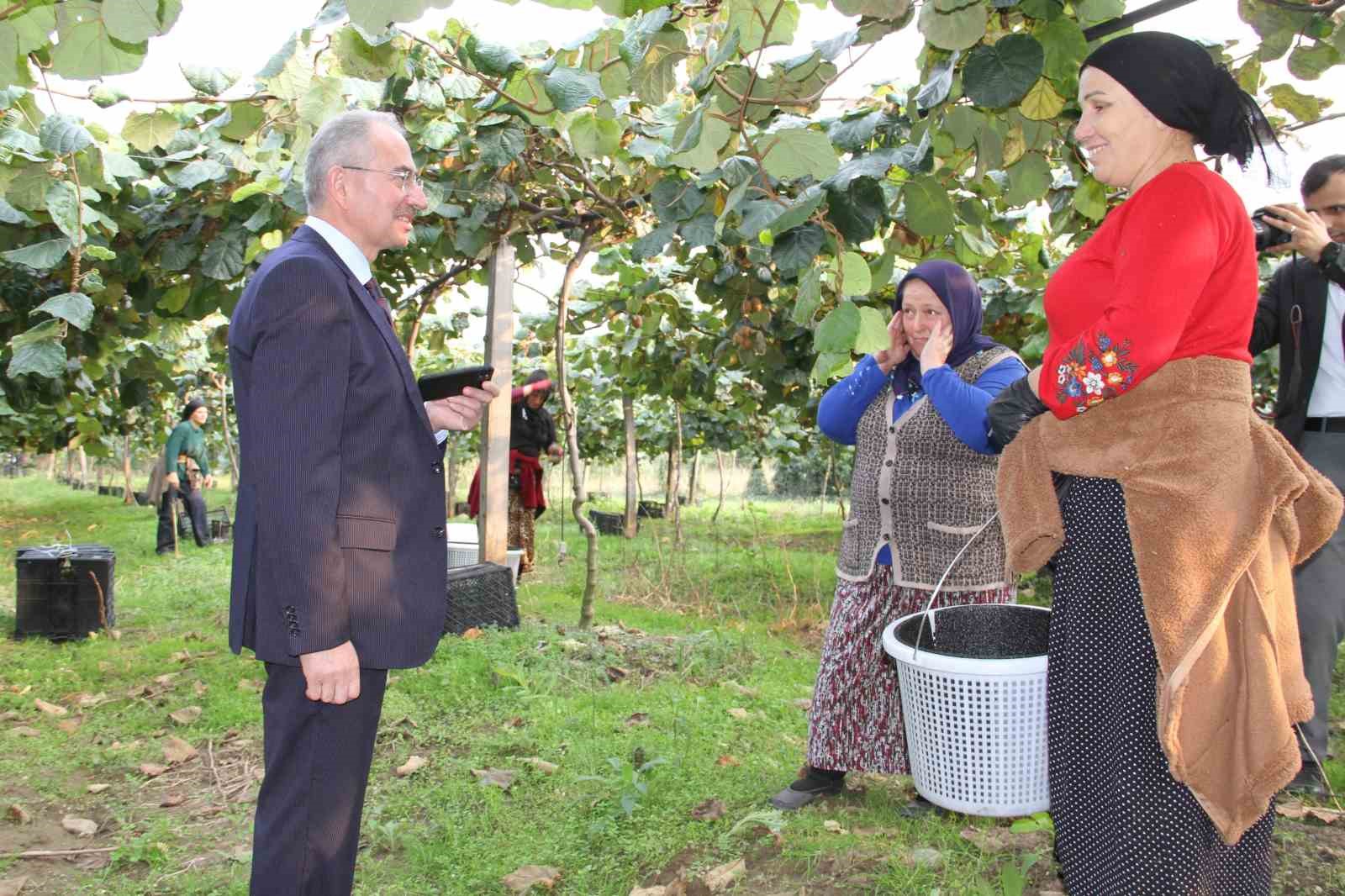 Samsun&rsquo;da &lsquo;2025 Yılı Kivi Hasat Etkinliği&rsquo;
