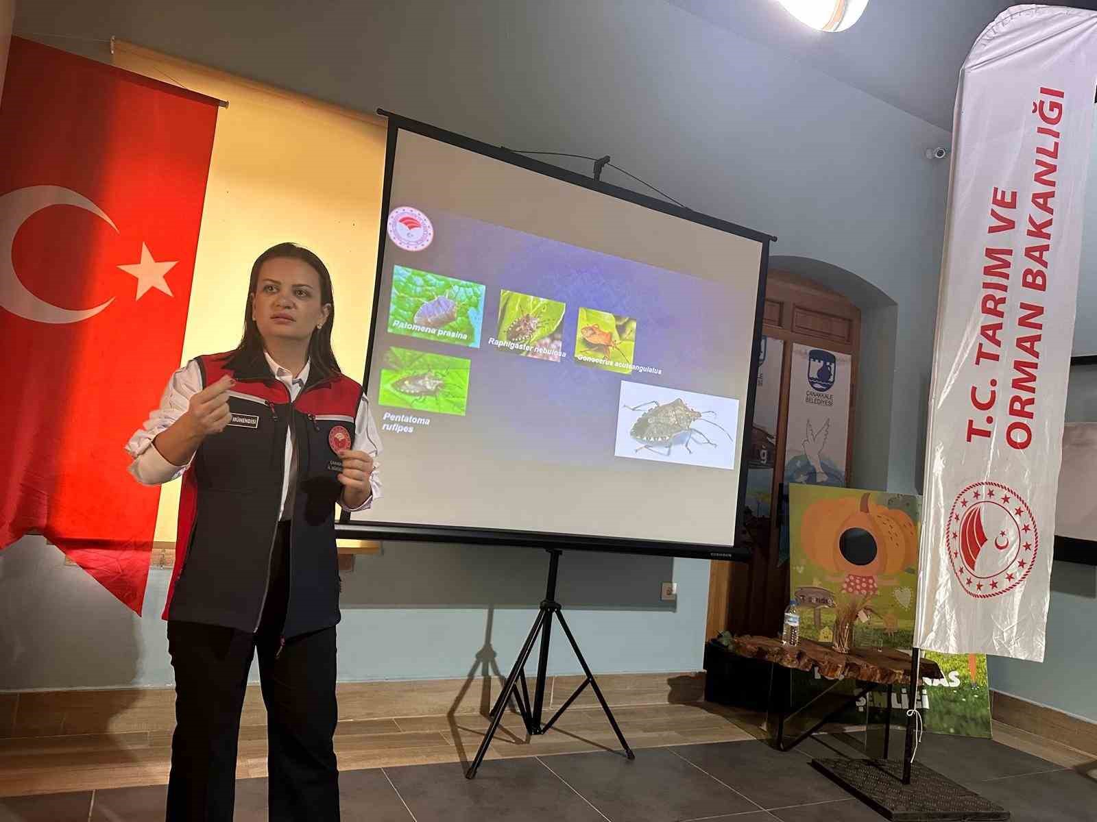 Çanakkale’de kahve rengi kokarcalarla 4 bin samuray arısı mücadele edecek
