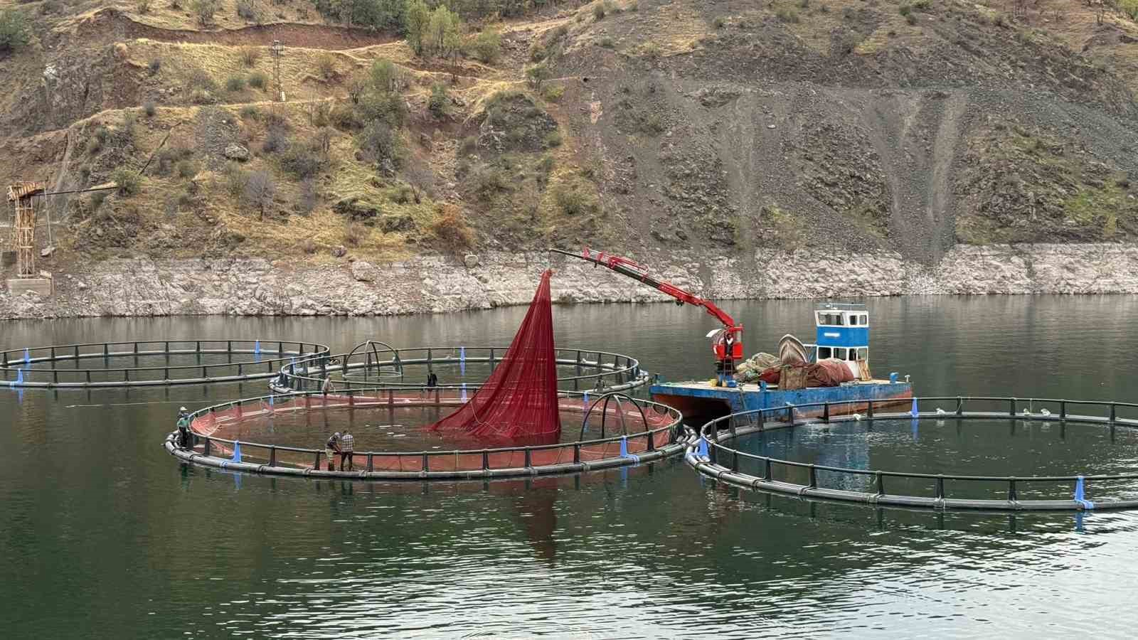 Diyarbakır’da 500 ton kapasiteli tesisten dünyaya "Mezopotamya somonu" gönderilecek
