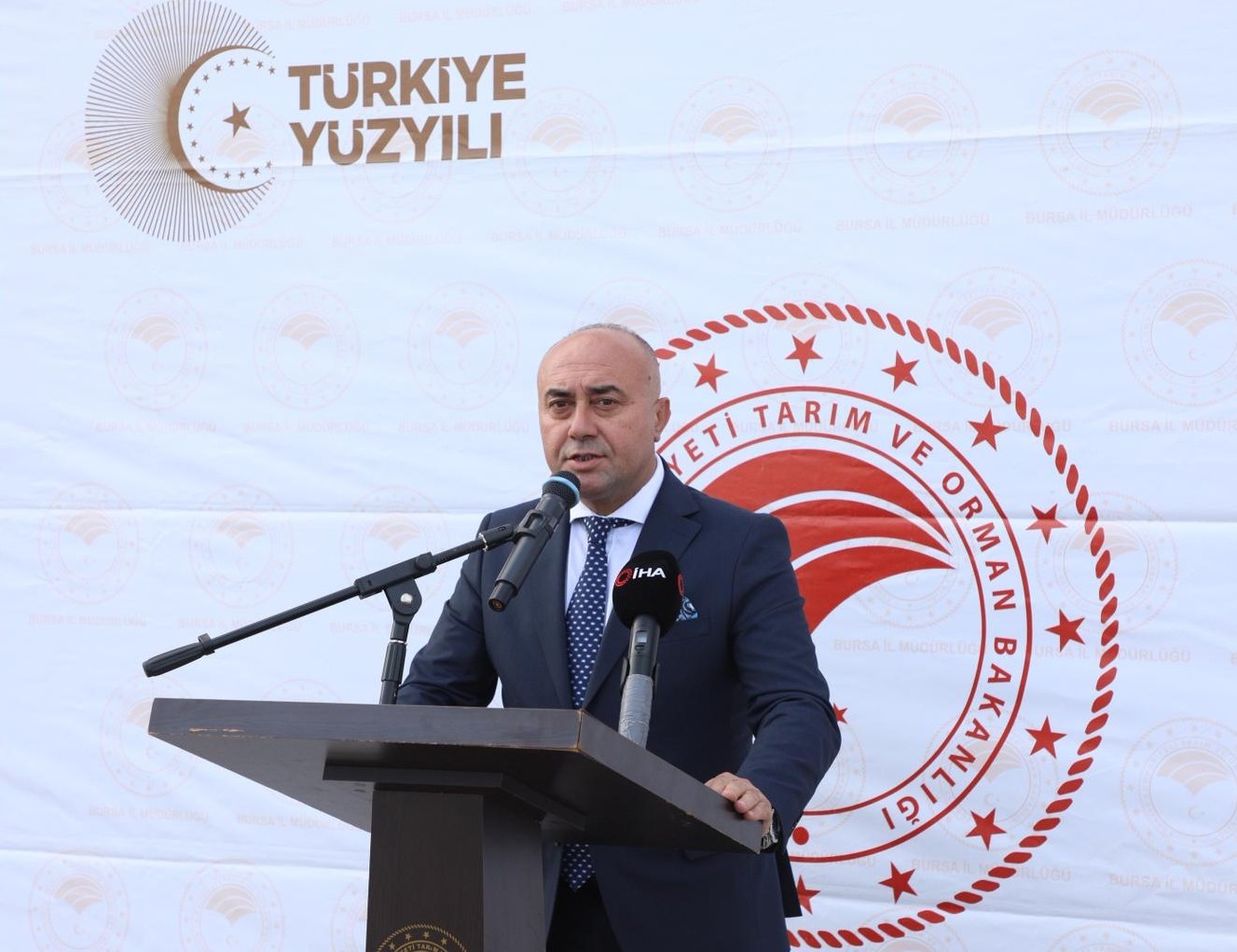 Zeytin hasadı başladı, Marmarabirlik’ten 70 bin tonluk alım ve 50 milyon dolarlık ihracat hedefi
